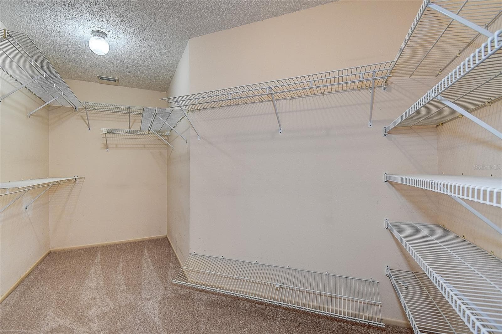 Huge Walk-In Closet - 3609 DARSTON ST, PALM HARBOR