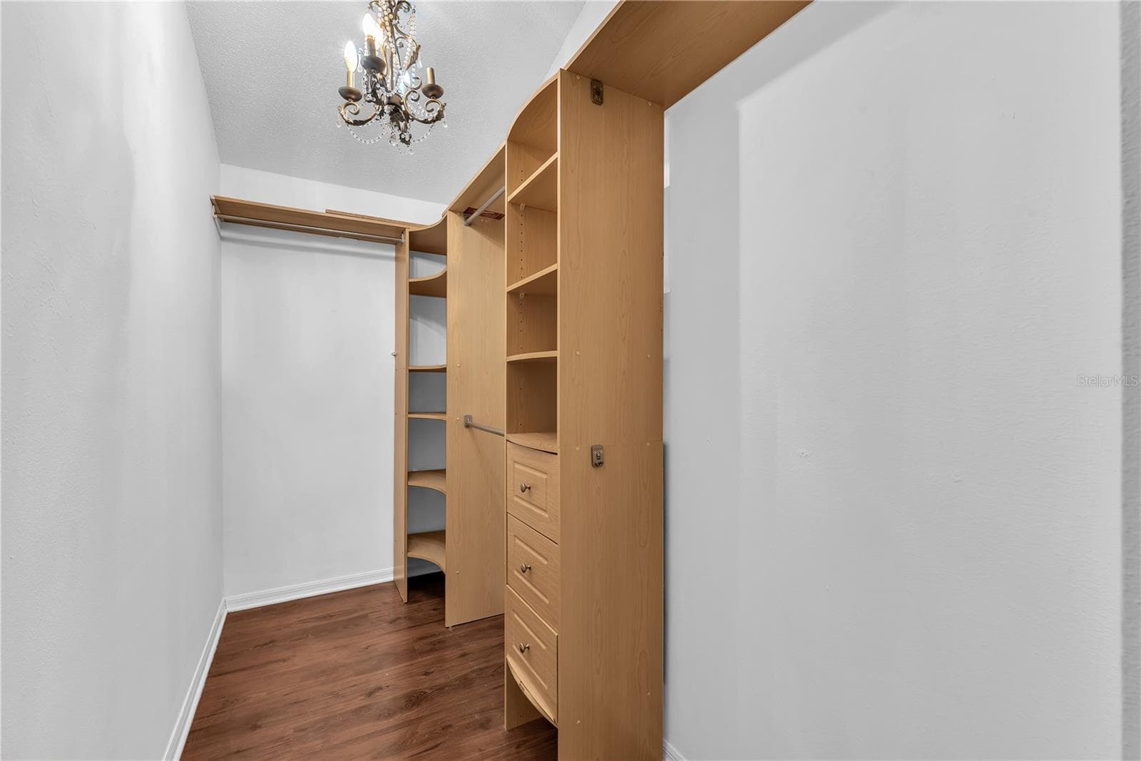 Primary walk in closet. - 4002 LEVONSHIRE PL, VALRICO