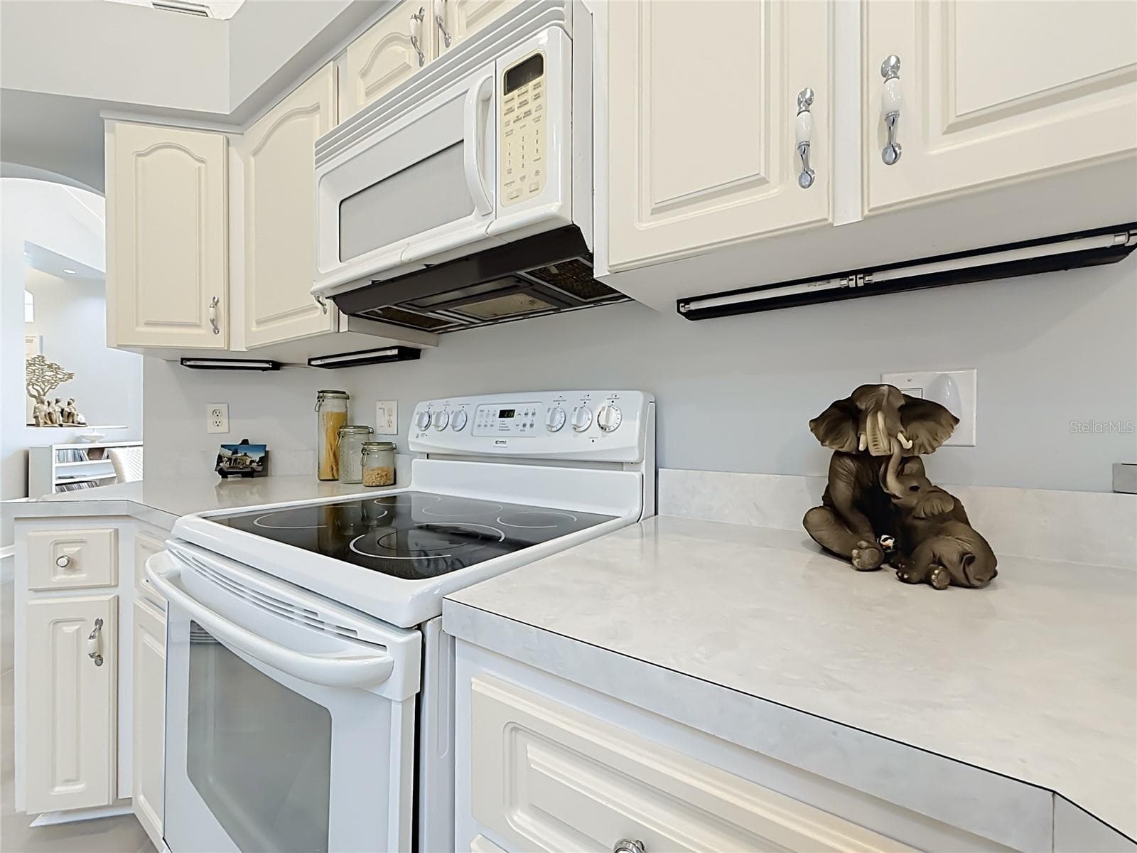 Single Family Residence at 10851 SW 53RD CIR, OCALA, photo 17 of 82