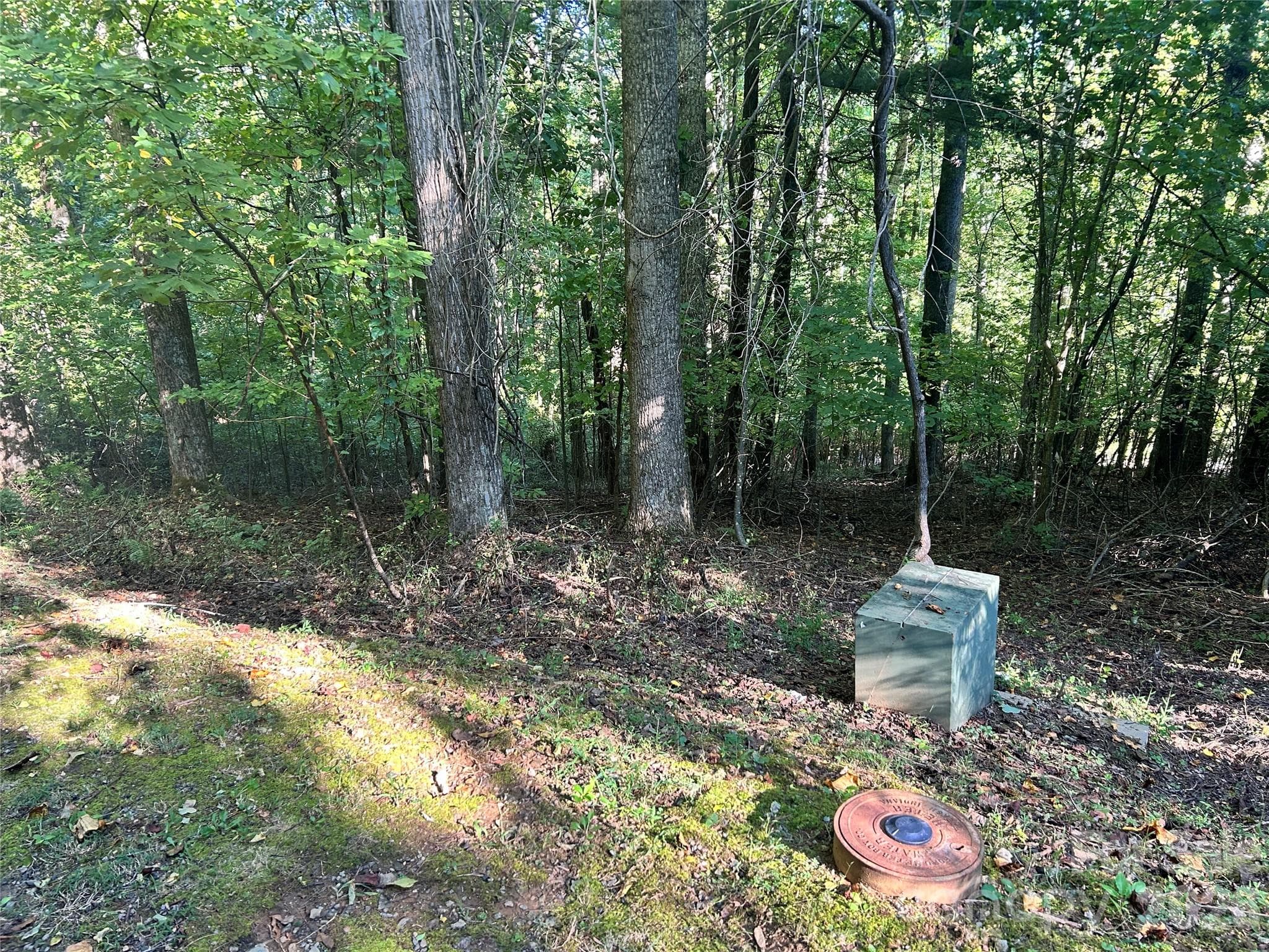 Lot at 573 Solomon Circle, Hendersonville, photo 4 of 6