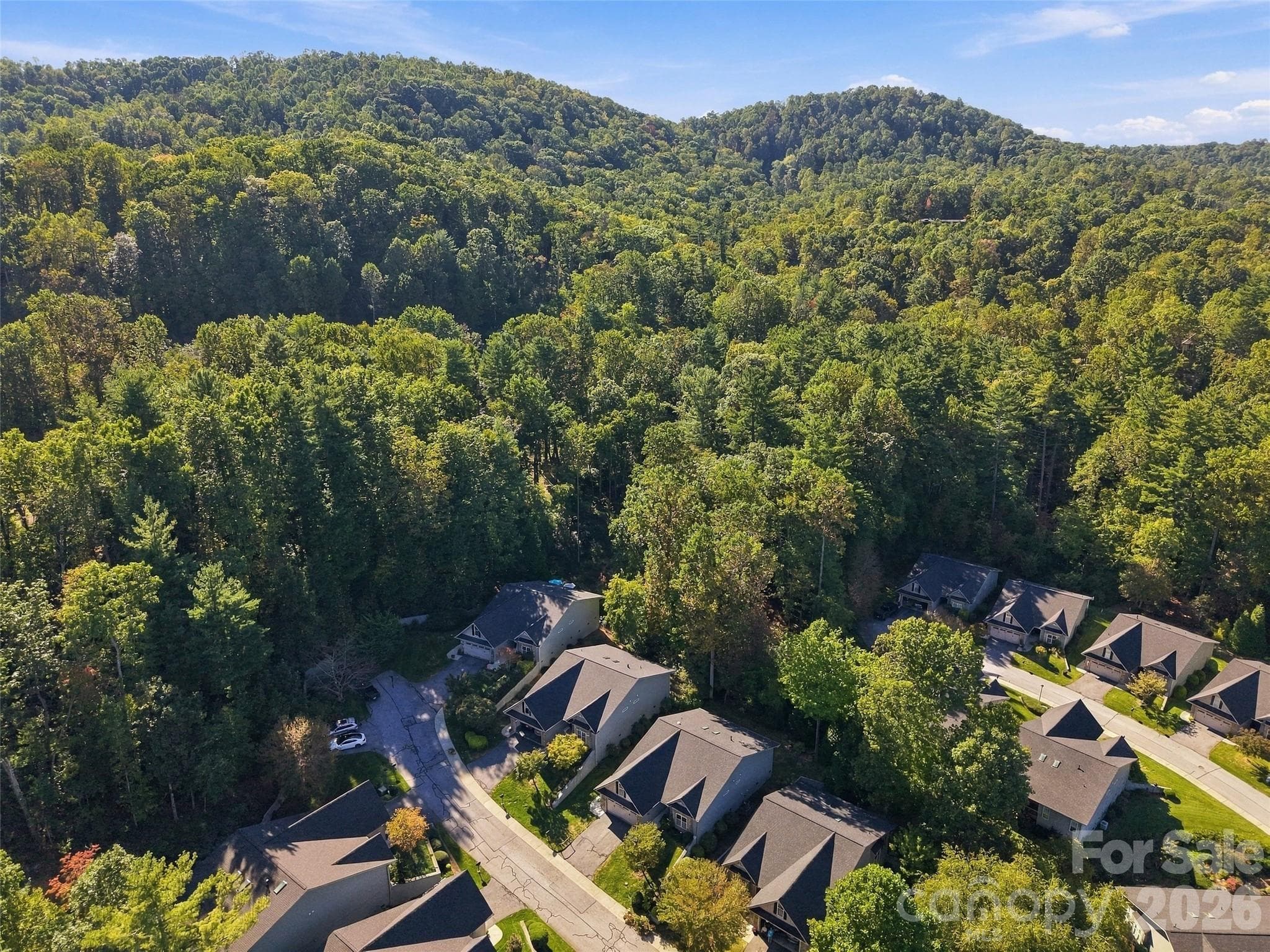 Townhouse at 220 Waterside Drive, Hendersonville, photo 34 of 48