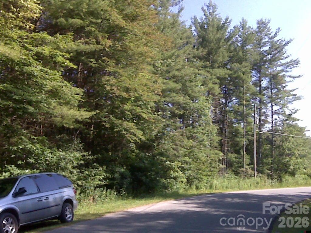 Acreage at 0 Little Gap Road, Fleetwood, photo 4 of 6
