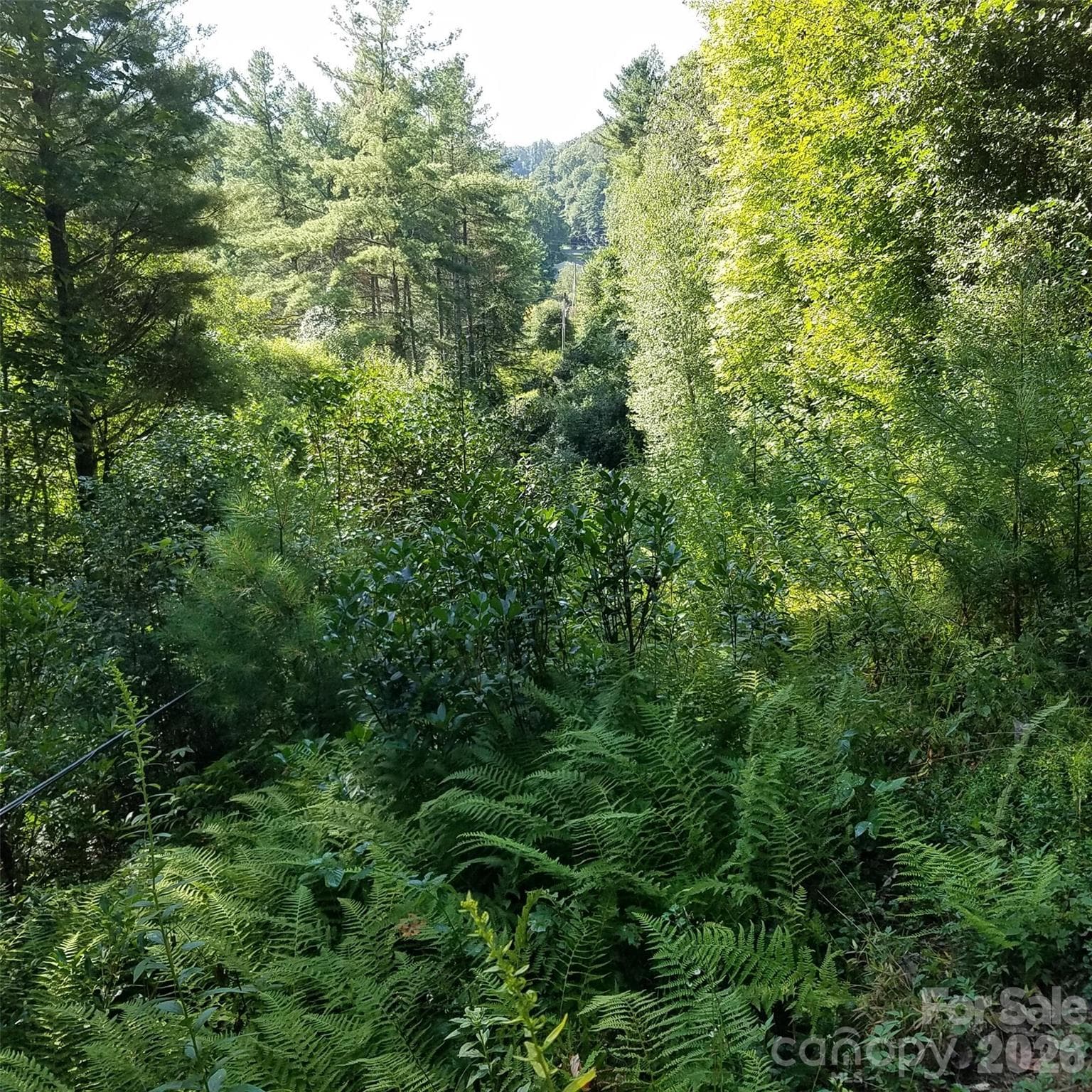 Acreage at 0 Little Gap Road, Fleetwood, photo 6 of 6