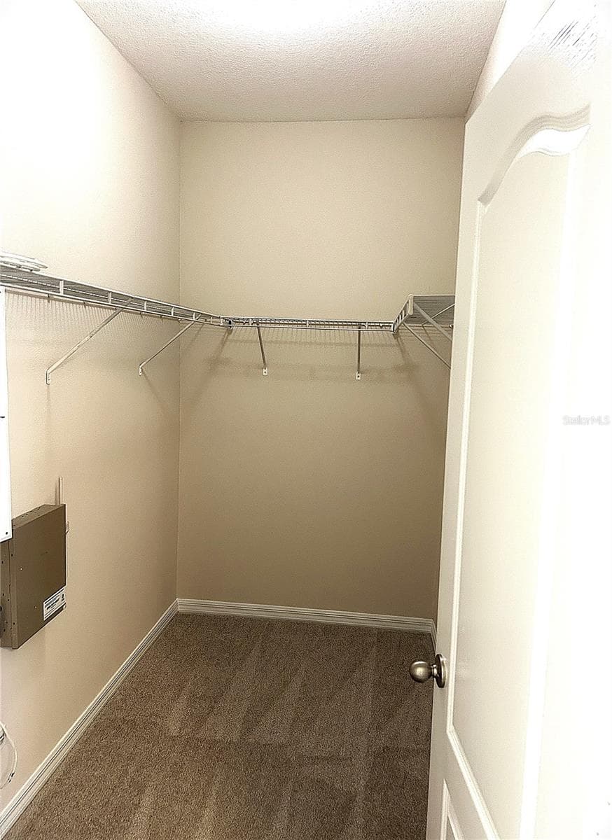 Master Closet - 4004 LANGDRUM DR, WESLEY CHAPEL