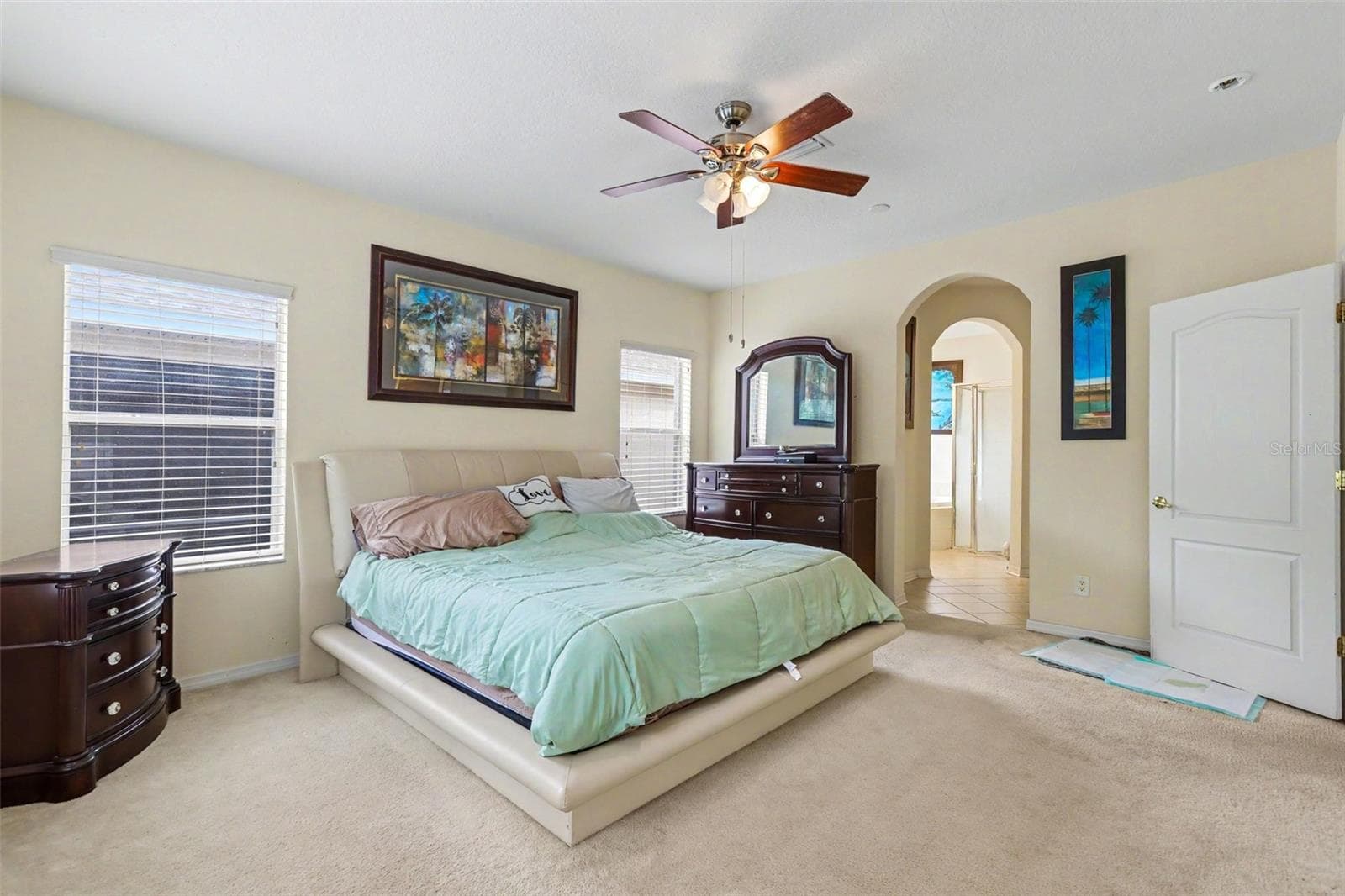 Master - 10710 SHADY PRESERVE DR, RIVERVIEW