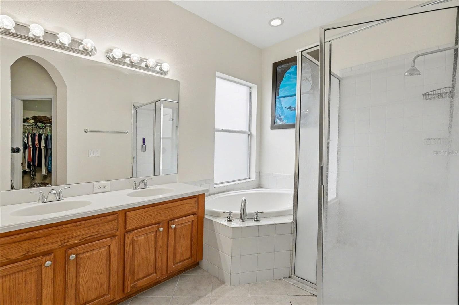 Master Bath - 10710 SHADY PRESERVE DR, RIVERVIEW