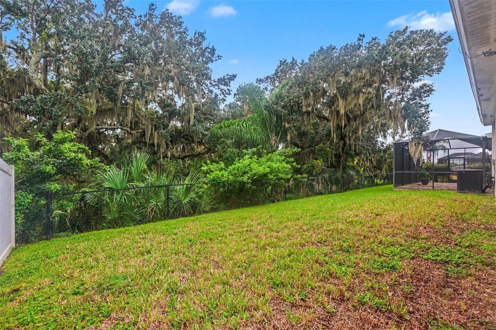 Single Family Residence at 10710 SHADY PRESERVE DR, RIVERVIEW, photo 23 of 25