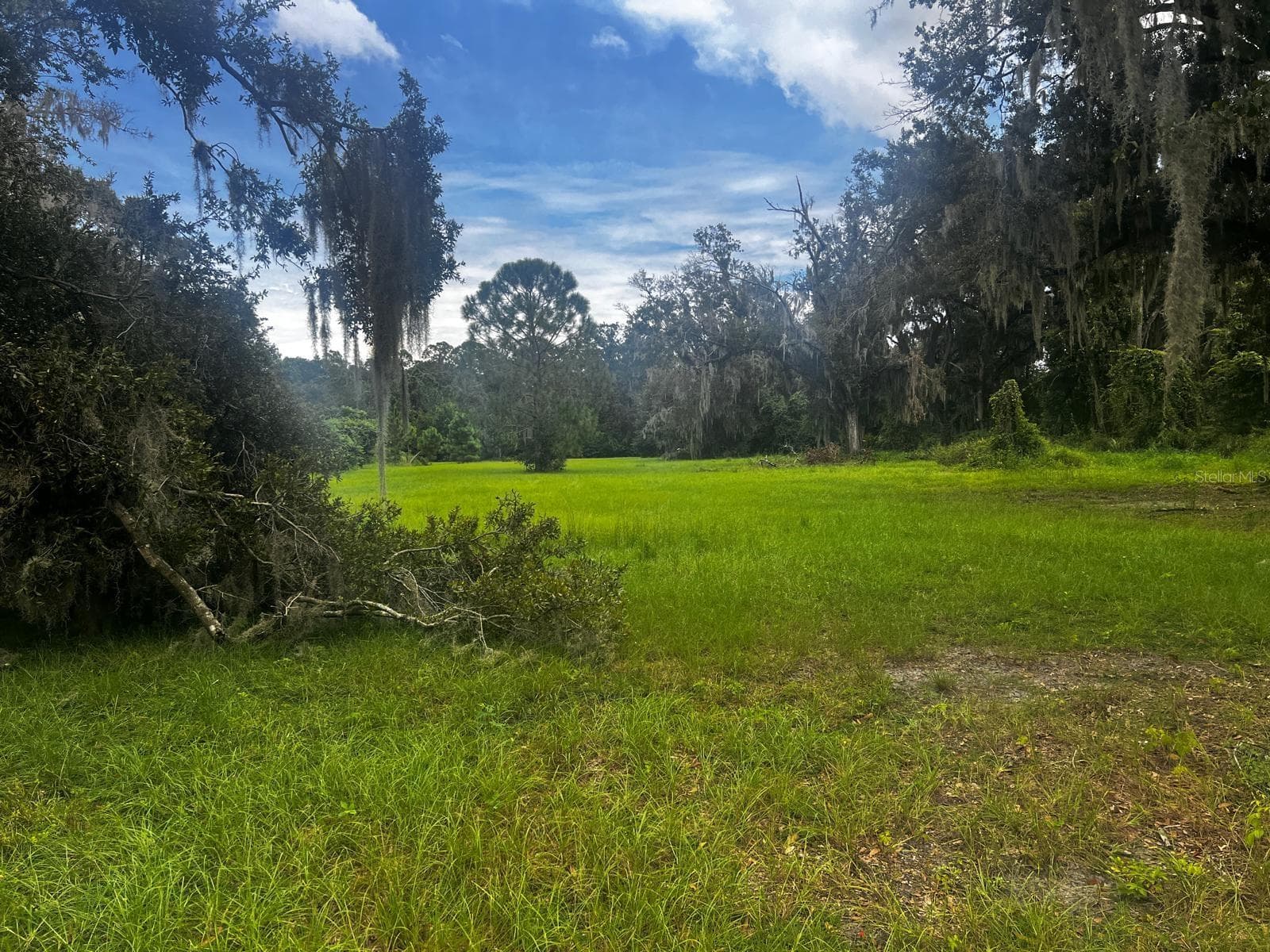 Land at 1308 N SHANNON AVE, PLANT CITY, photo 2 of 5