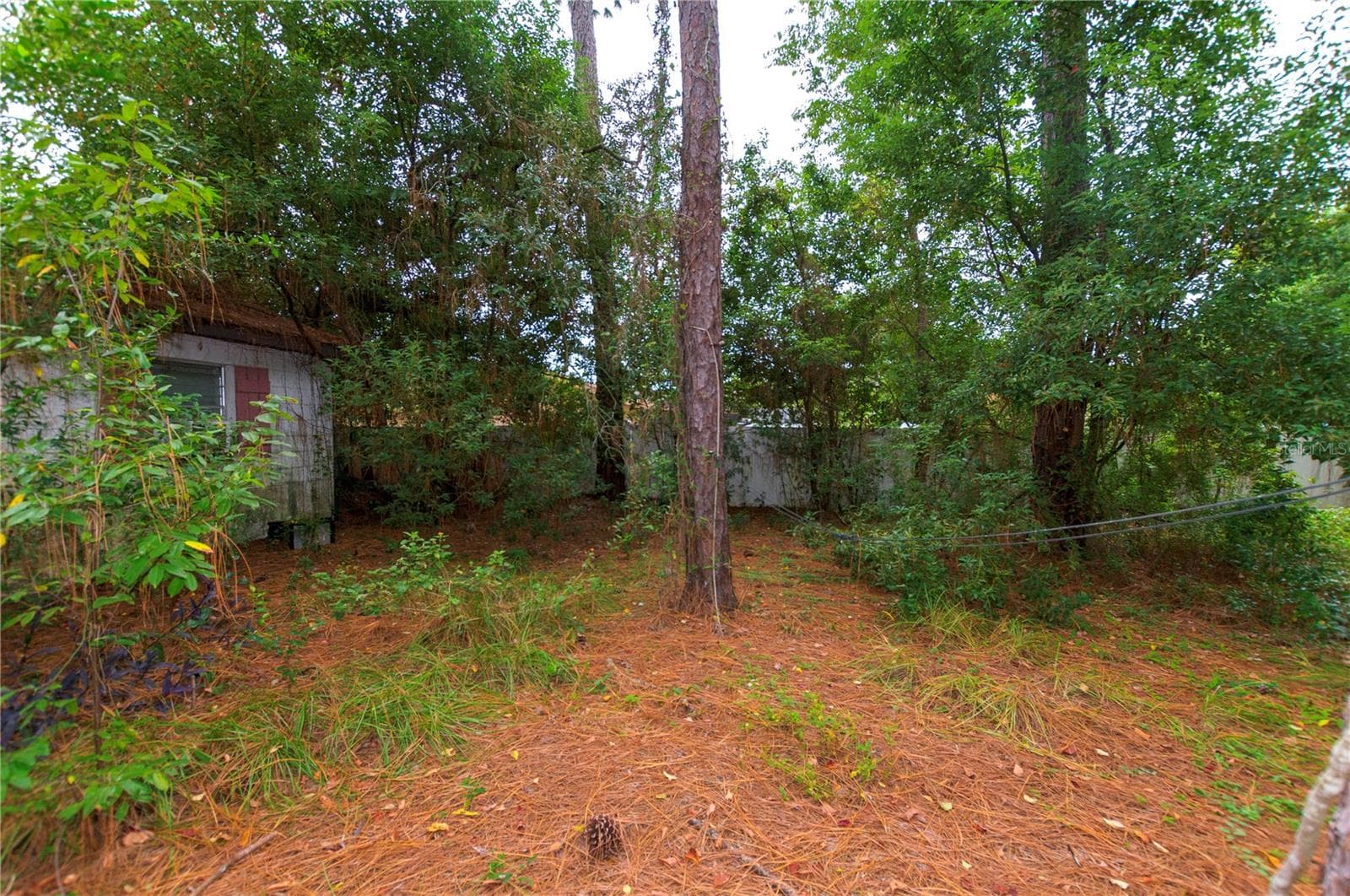 Single Family Residence at 11323 BLYTHVILLE RD, SPRING HILL, photo 24 of 27