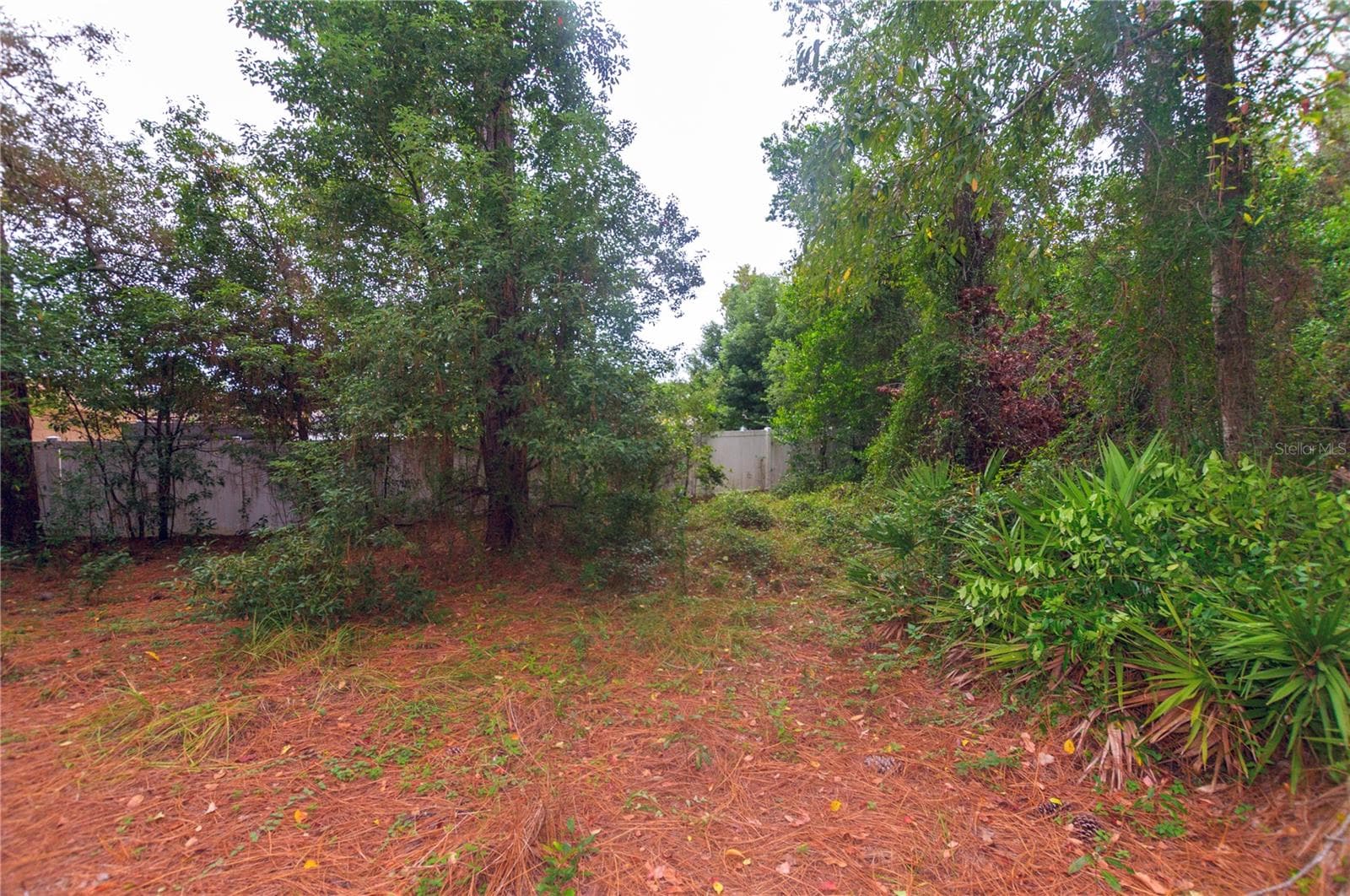 Single Family Residence at 11323 BLYTHVILLE RD, SPRING HILL, photo 26 of 27