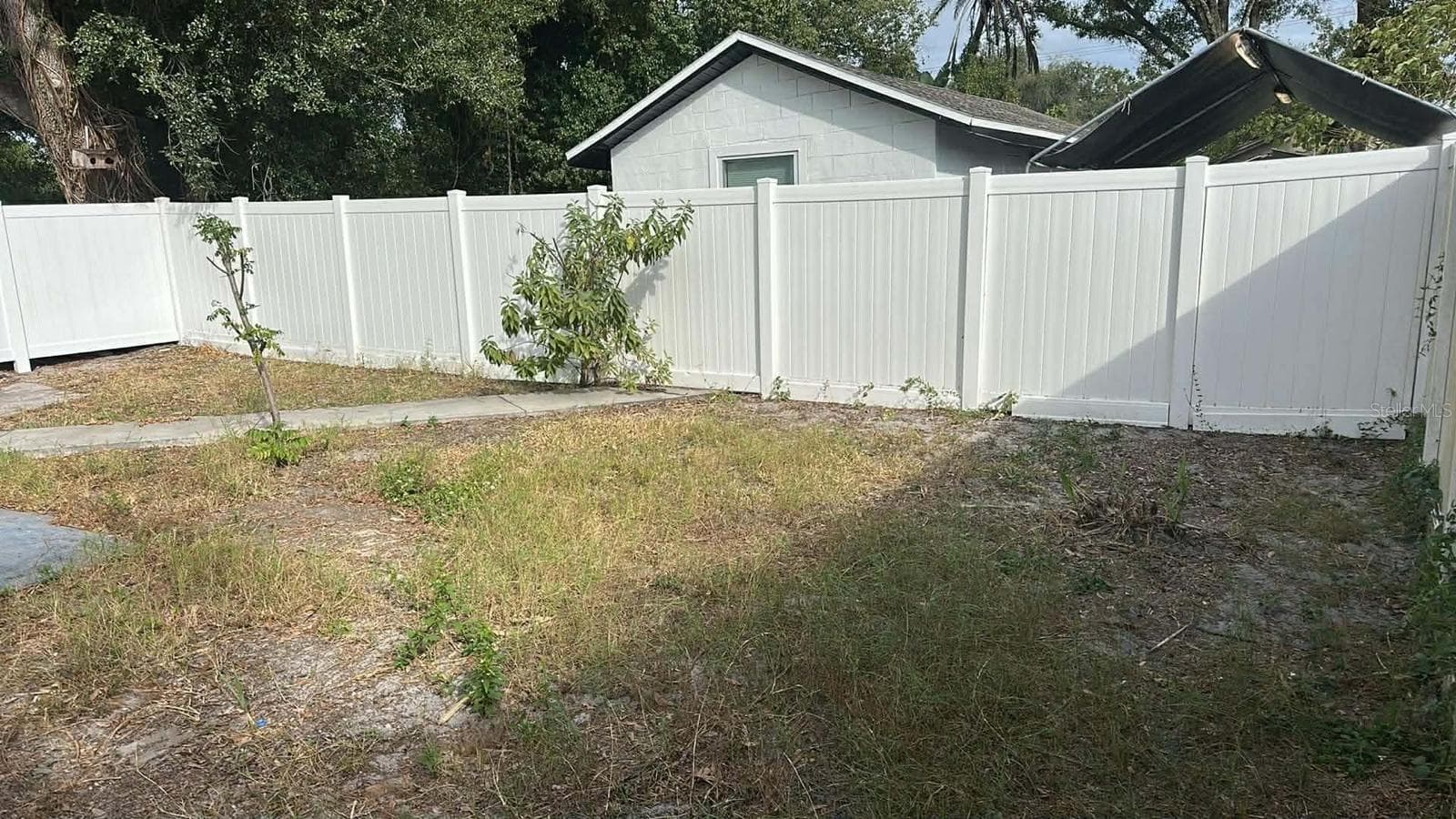 Backyard of the house - 8501 N PACKWOOD AVE, TAMPA