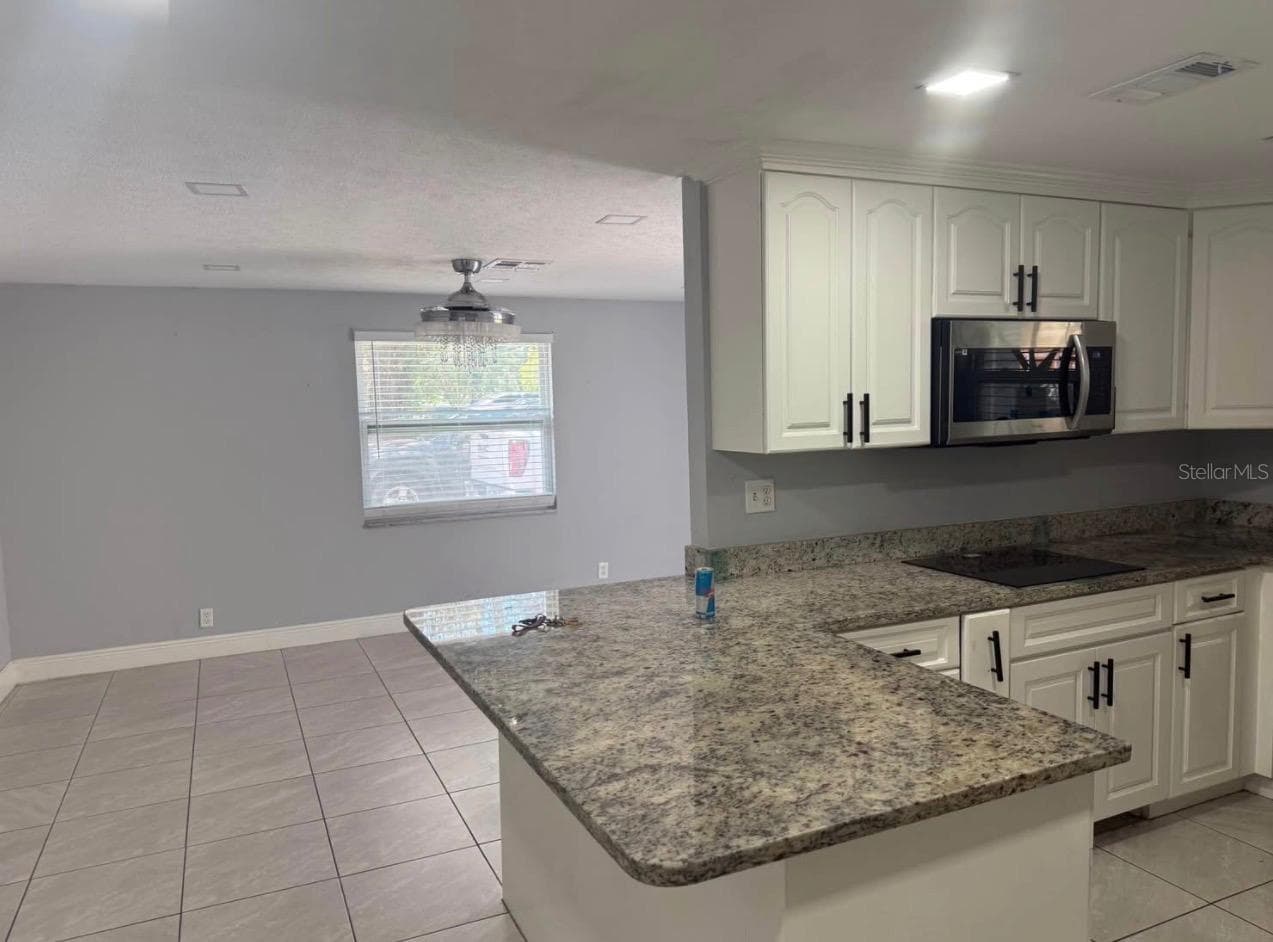 Single Family Residence at 8501 N PACKWOOD AVE, TAMPA, photo 15 of 30