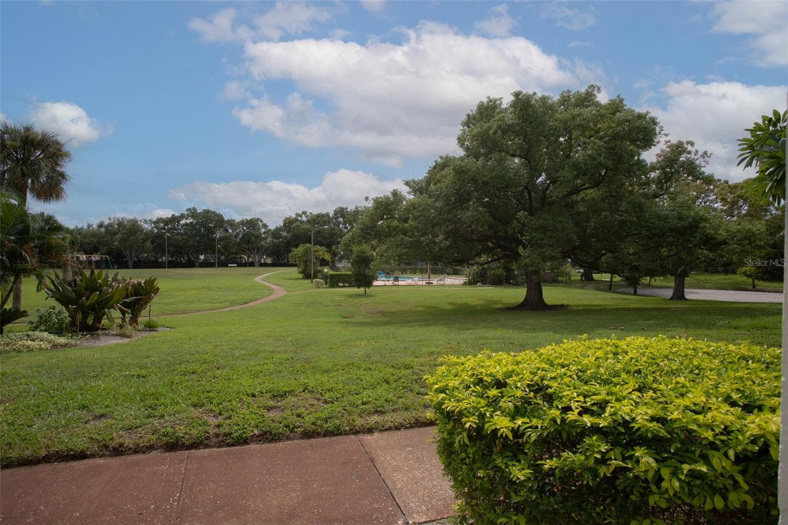 view from front porch - 4219 LA SORRENTO CT, TAMPA