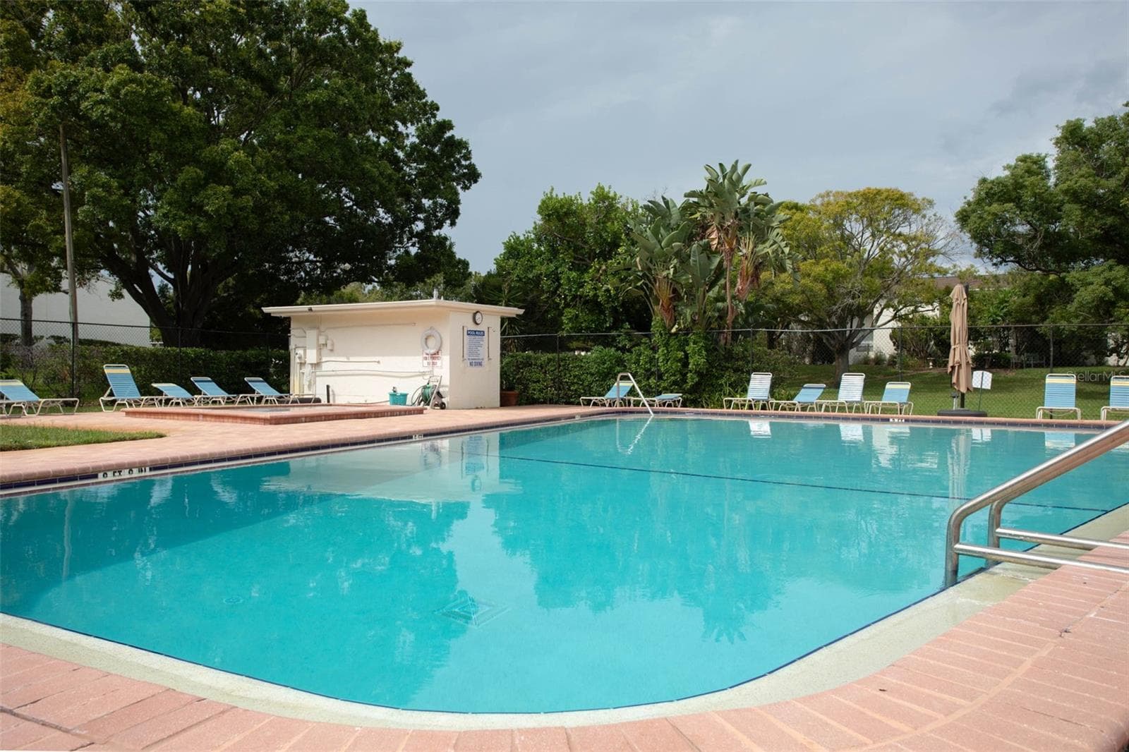 community pool - 4219 LA SORRENTO CT, TAMPA