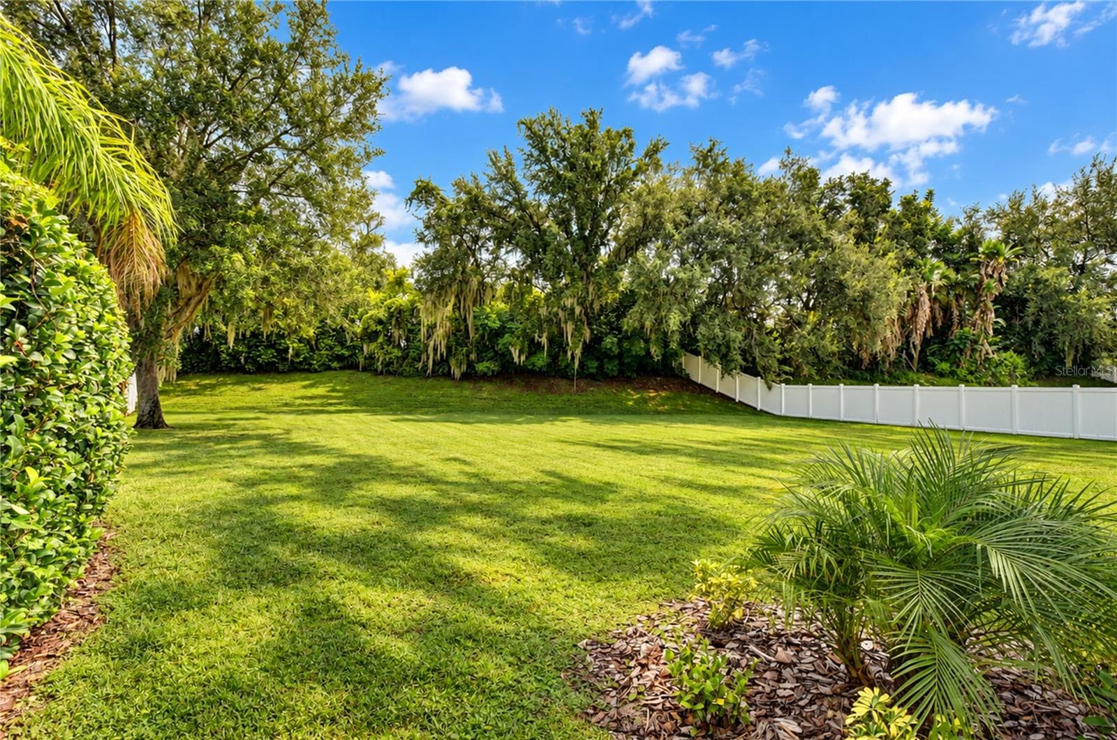 Expansive outdoor space on a nearly half-acre homesite. - 5104 WHISPERING LEAF TRL, VALRICO
