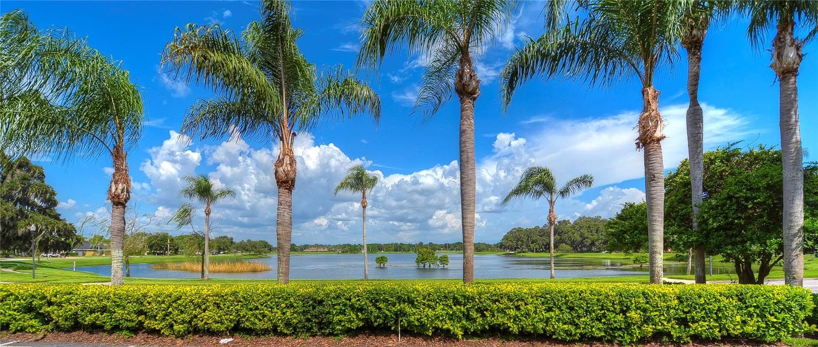 Enjoy the natural beauty surrounding the neighborhood. - 5104 WHISPERING LEAF TRL, VALRICO