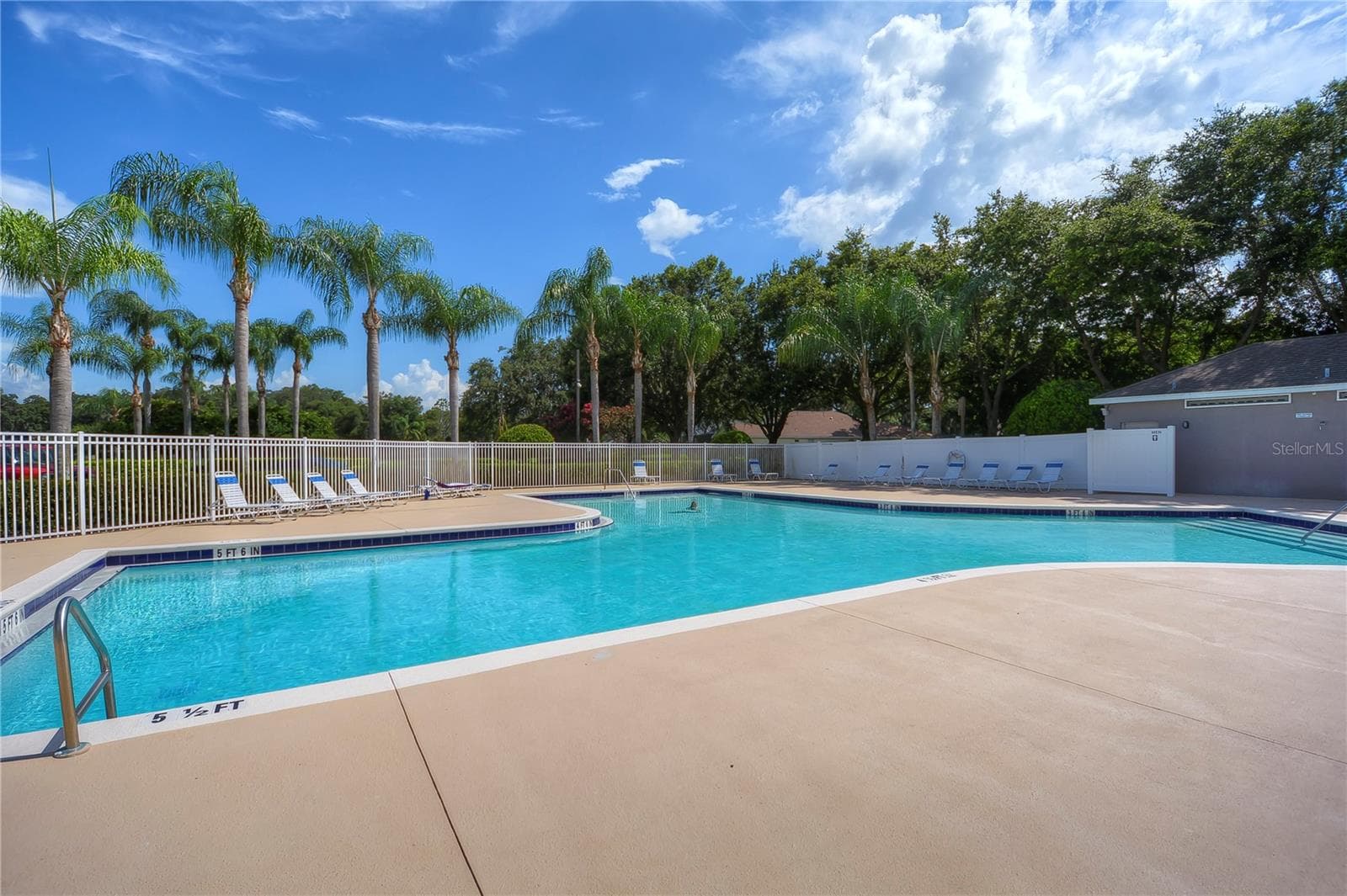 Community pool - 5104 WHISPERING LEAF TRL, VALRICO