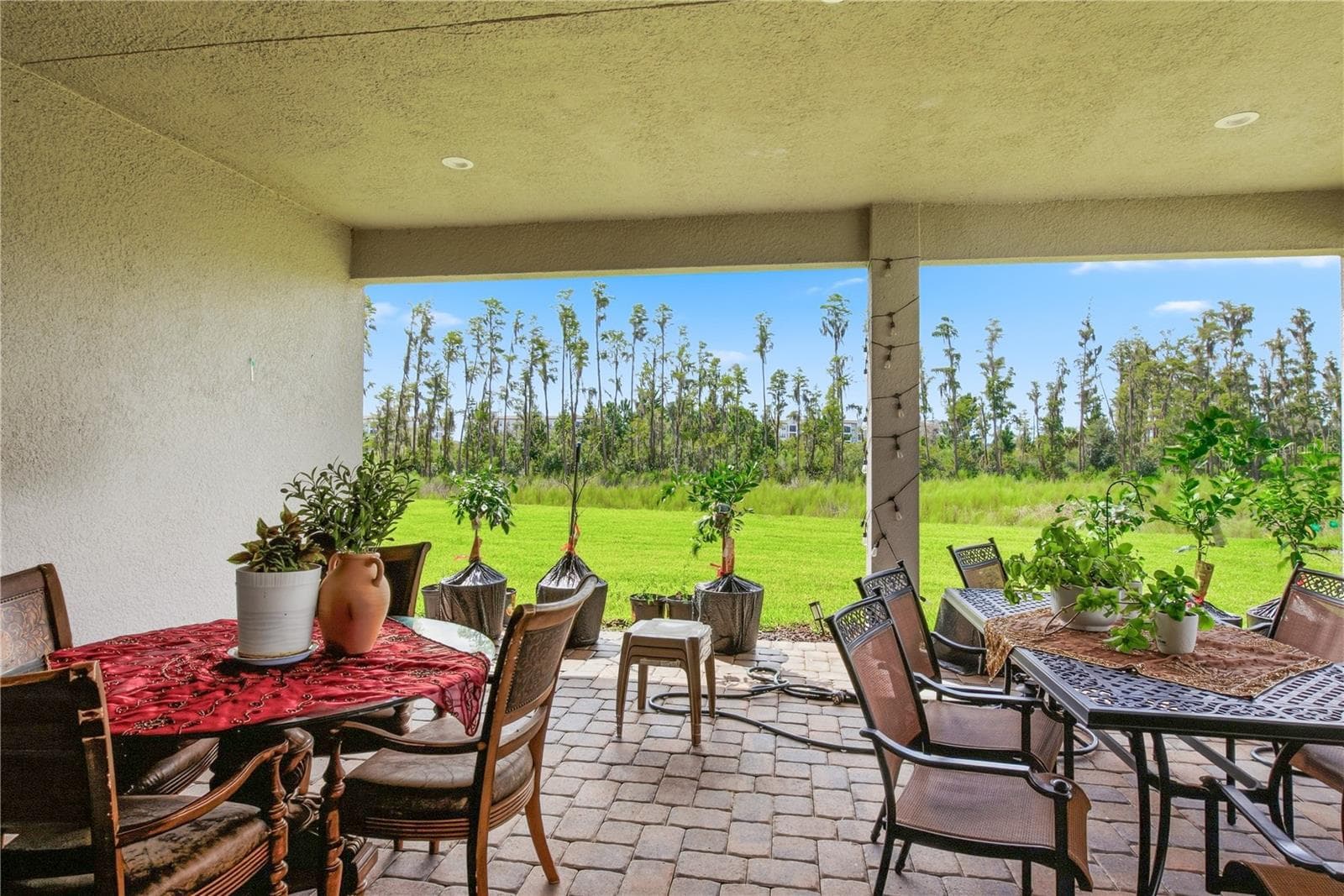 Single Family Residence at 32604 TREE OF LIFE AVE, WESLEY CHAPEL, photo 45 of 65
