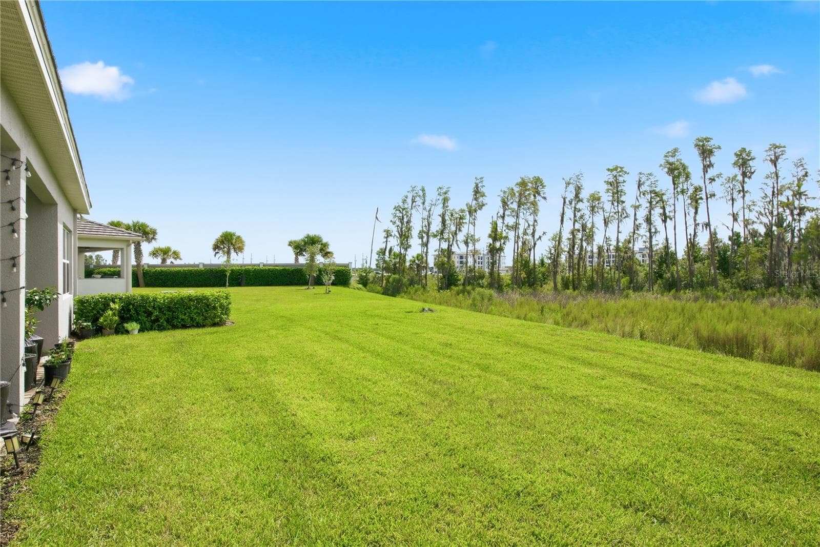 Single Family Residence at 32604 TREE OF LIFE AVE, WESLEY CHAPEL, photo 51 of 65