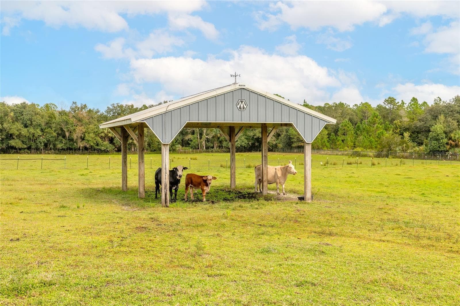 Located in back of property - 1390 E OHIO AVE, LAKE HELEN