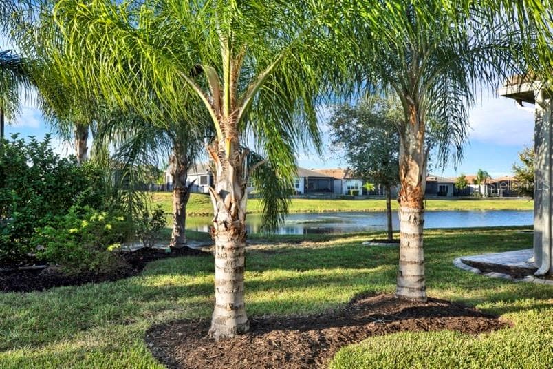 Single Family Residence at 4923 PAMPLONA CT, WIMAUMA, photo 33 of 53