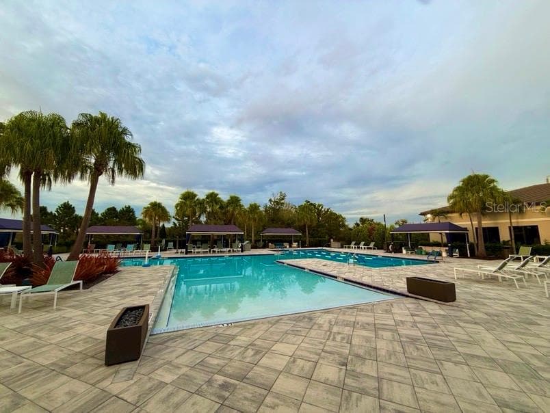 hot tub is behind the pool - 4923 PAMPLONA CT, WIMAUMA
