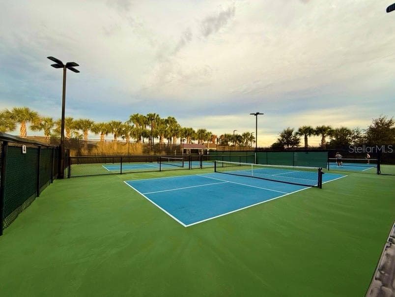 pickle ball courts - 4923 PAMPLONA CT, WIMAUMA