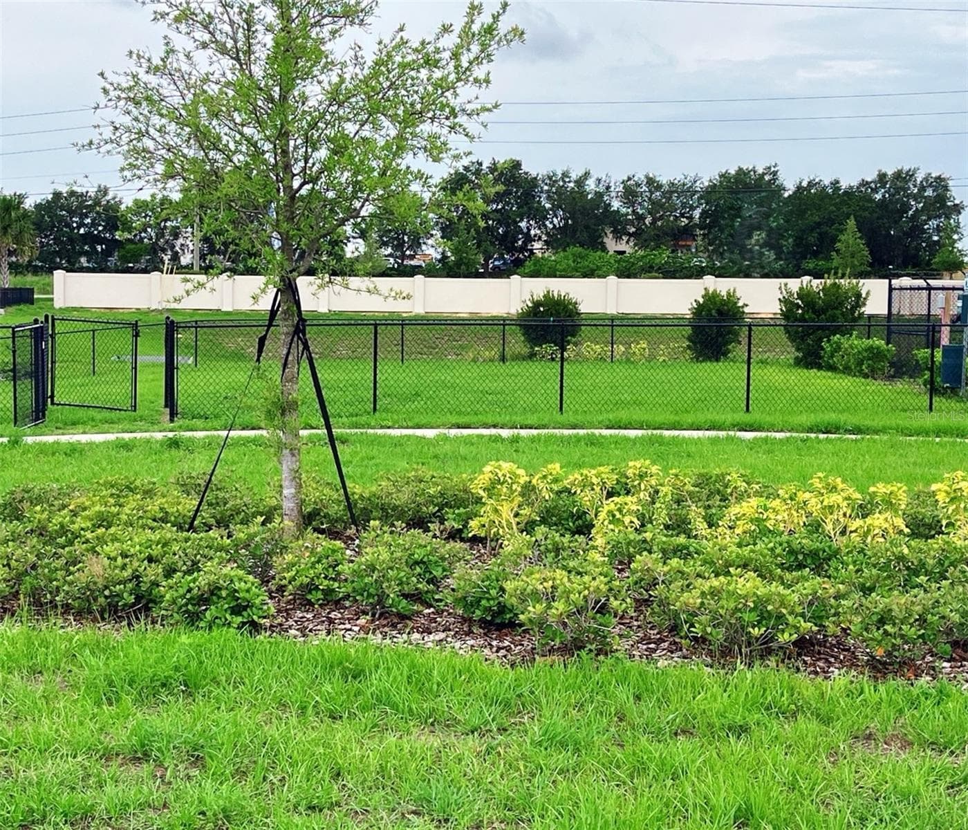 Community Dog Park - 441 MARION LOOP, HAINES CITY