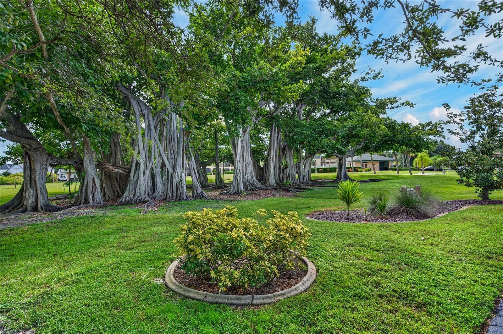 Banyan Trees - 601 SHREVE ST #66C, PUNTA GORDA