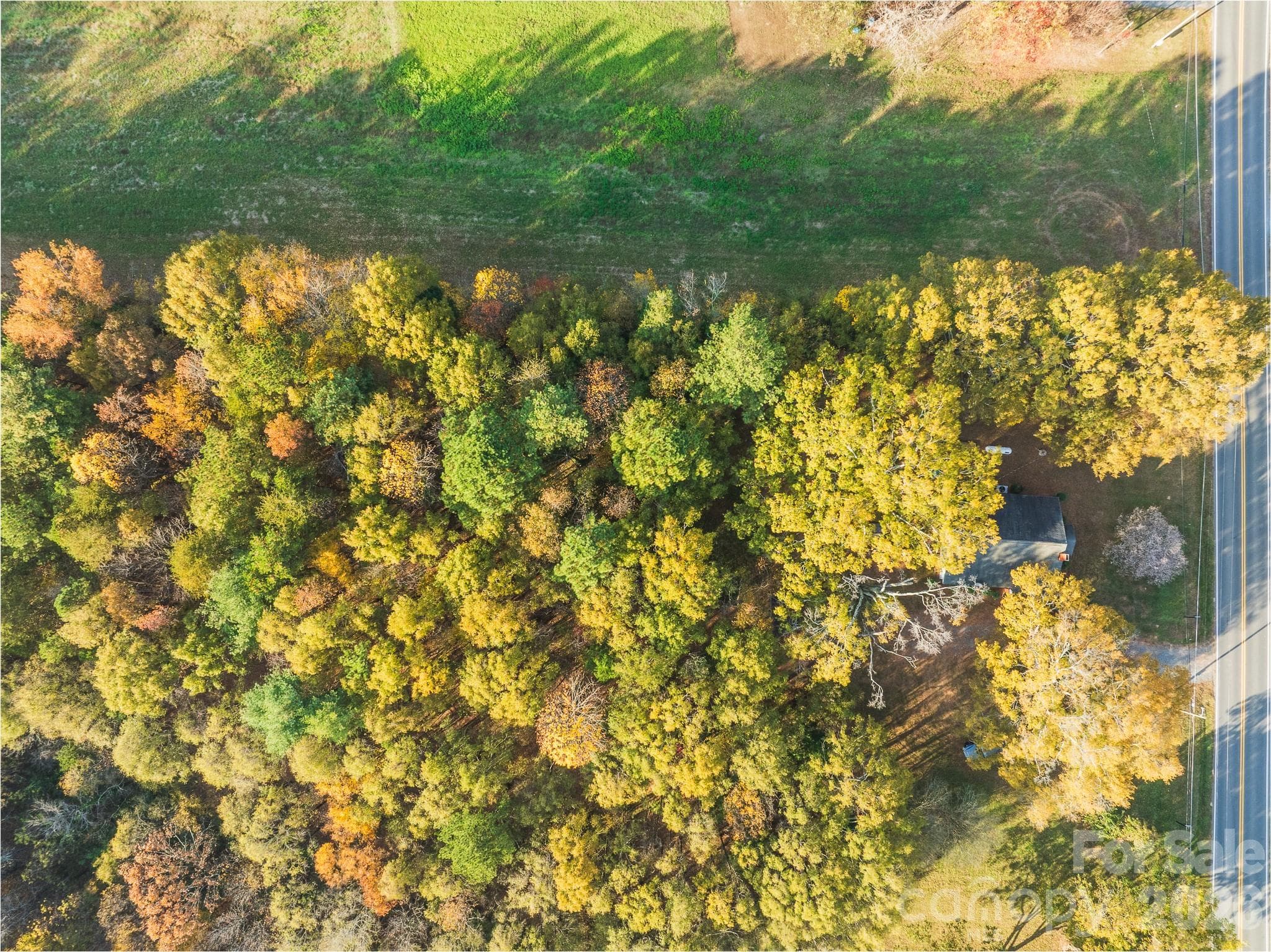 Acreage at Albemarle, photo 4 of 8