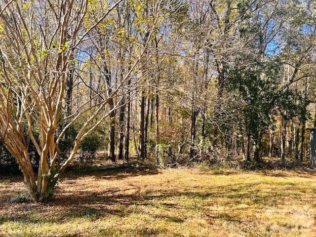 Acreage at Albemarle, photo 6 of 8