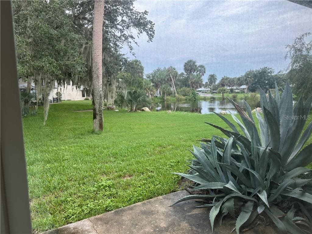 View of water - CRYSTAL RIVER