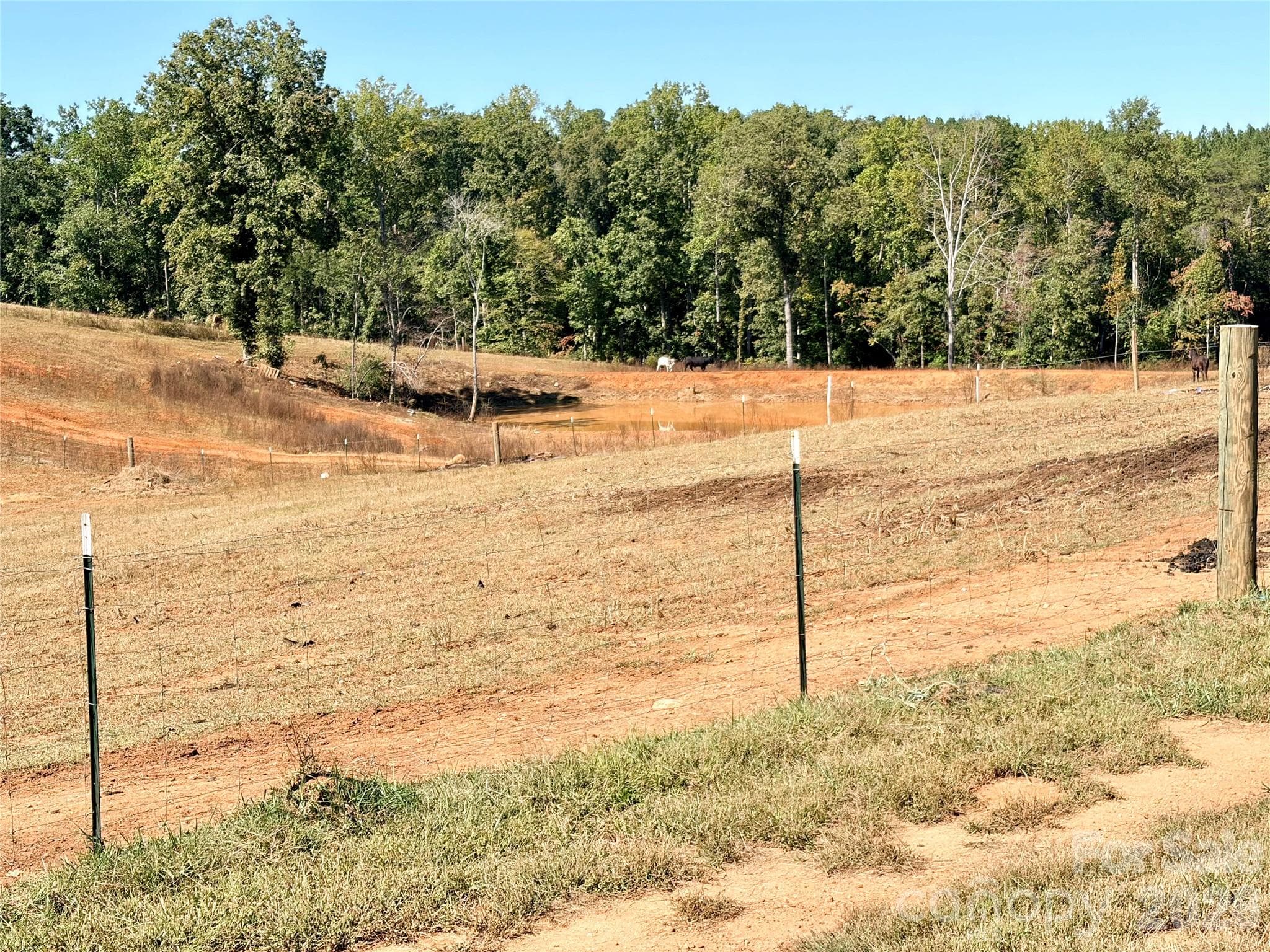 13 Acres of Fenced Pasture with pond - 550 Dills Road, Rutherfordton