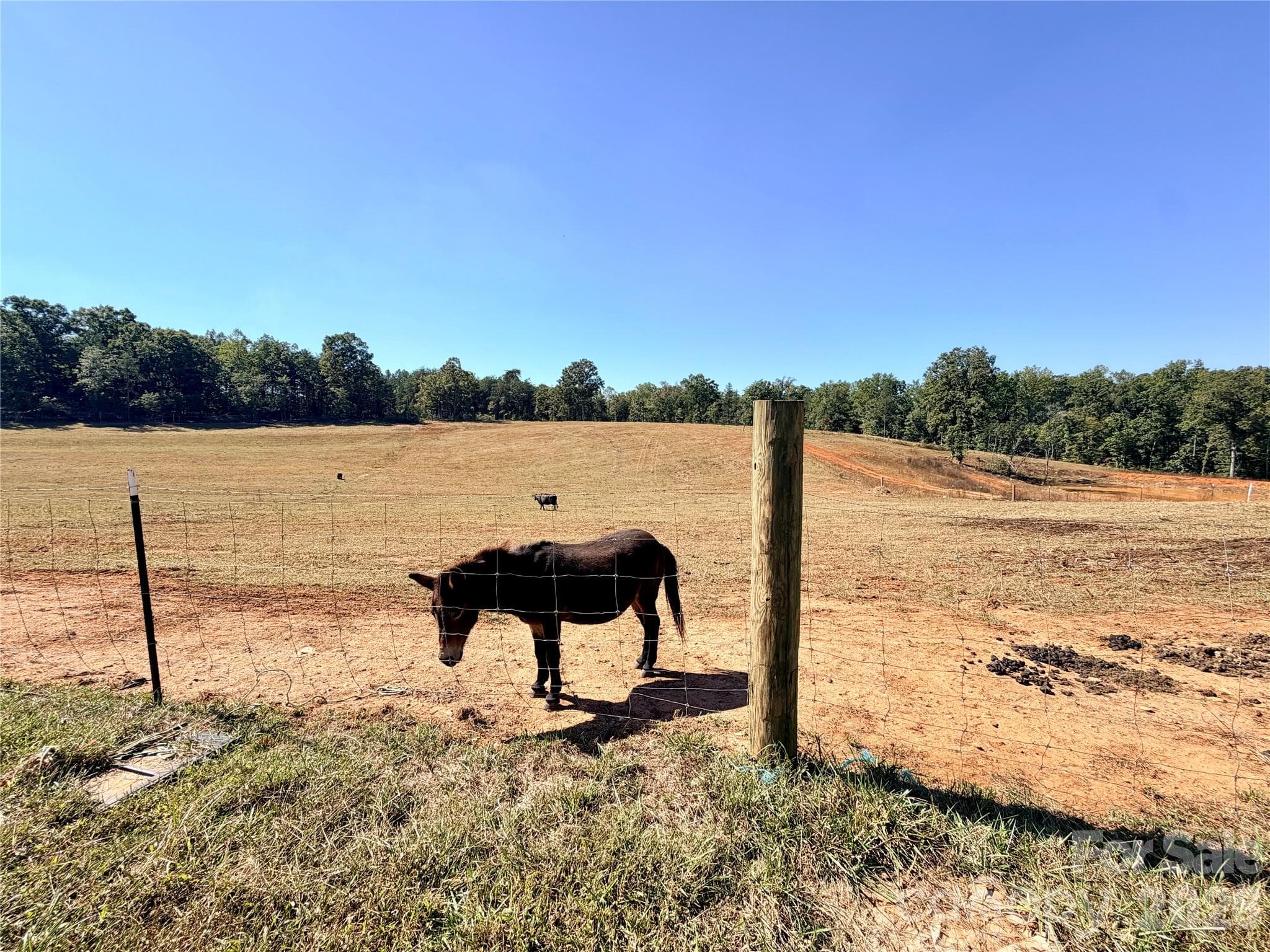 13 Acres of Fenced Pasture - 550 Dills Road, Rutherfordton