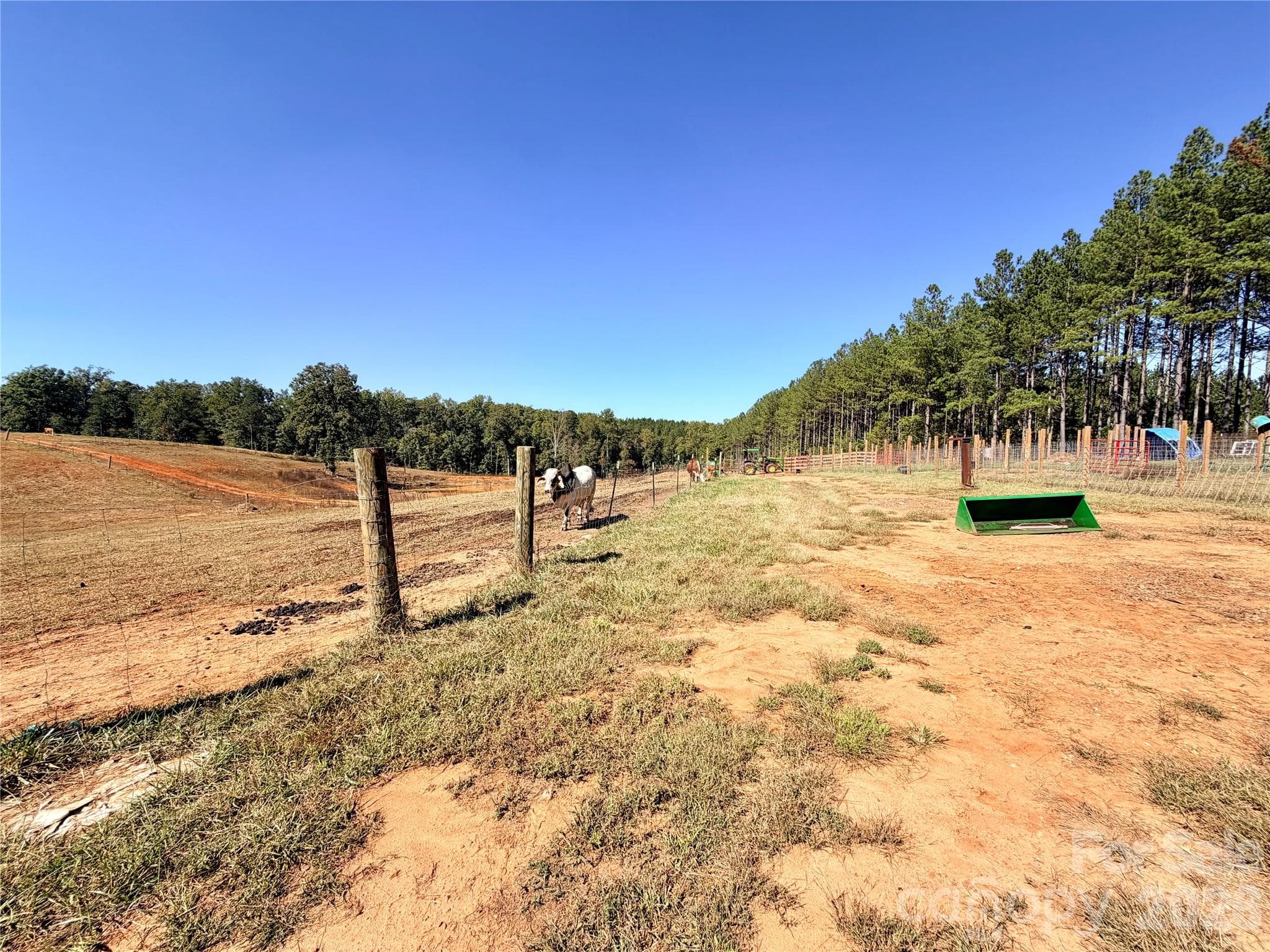 13 Acres of Fenced Pasture - 550 Dills Road, Rutherfordton