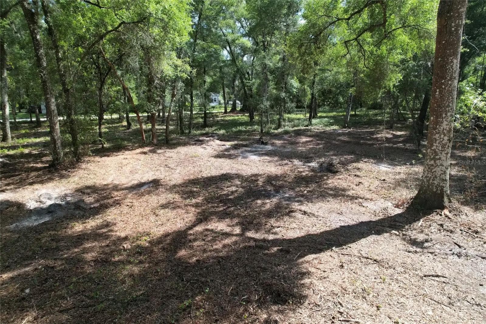 Land at 00 SE 30TH AVE, SUMMERFIELD, photo 3 of 4