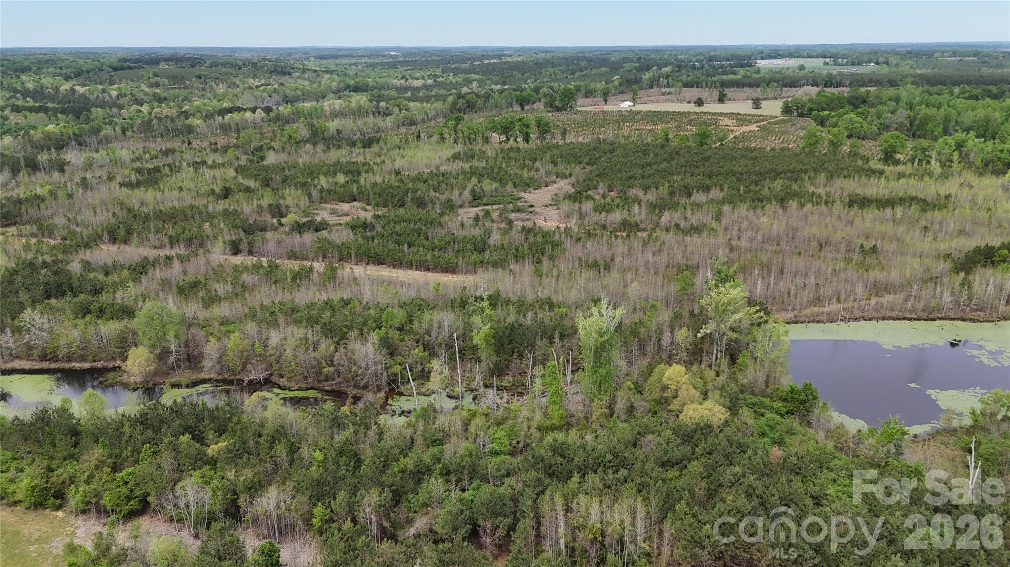 Acreage at 000 US Highway 52 Highway, Cheraw, photo 16 of 43