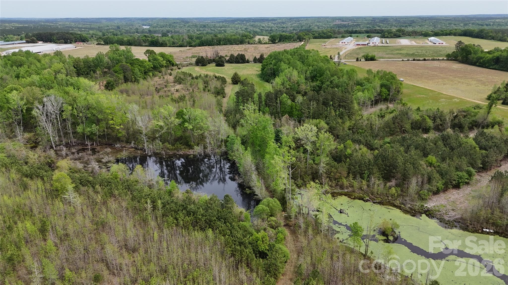 Acreage at 000 US Highway 52 Highway, Cheraw, photo 21 of 43