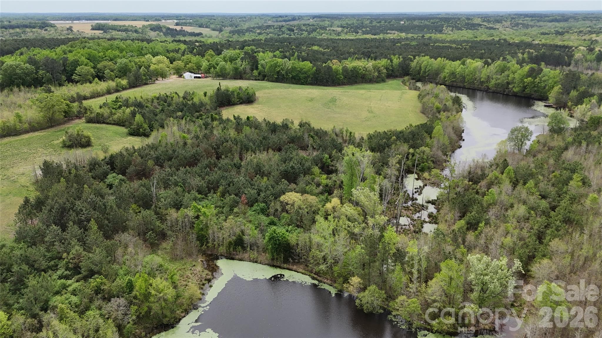 Acreage at 000 US Highway 52 Highway, Cheraw, photo 23 of 43