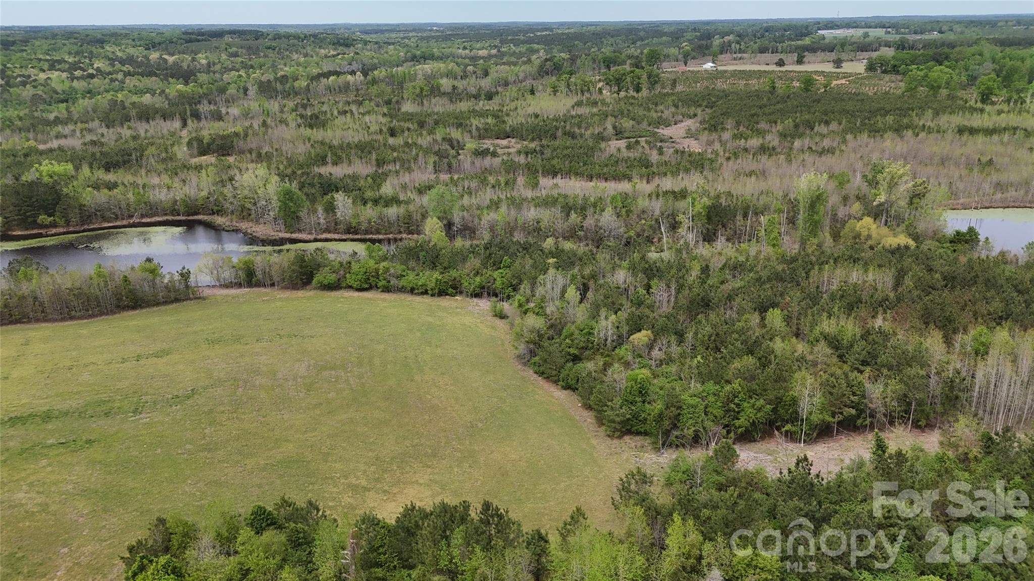 Acreage at 000 US Highway 52 Highway, Cheraw, photo 25 of 43
