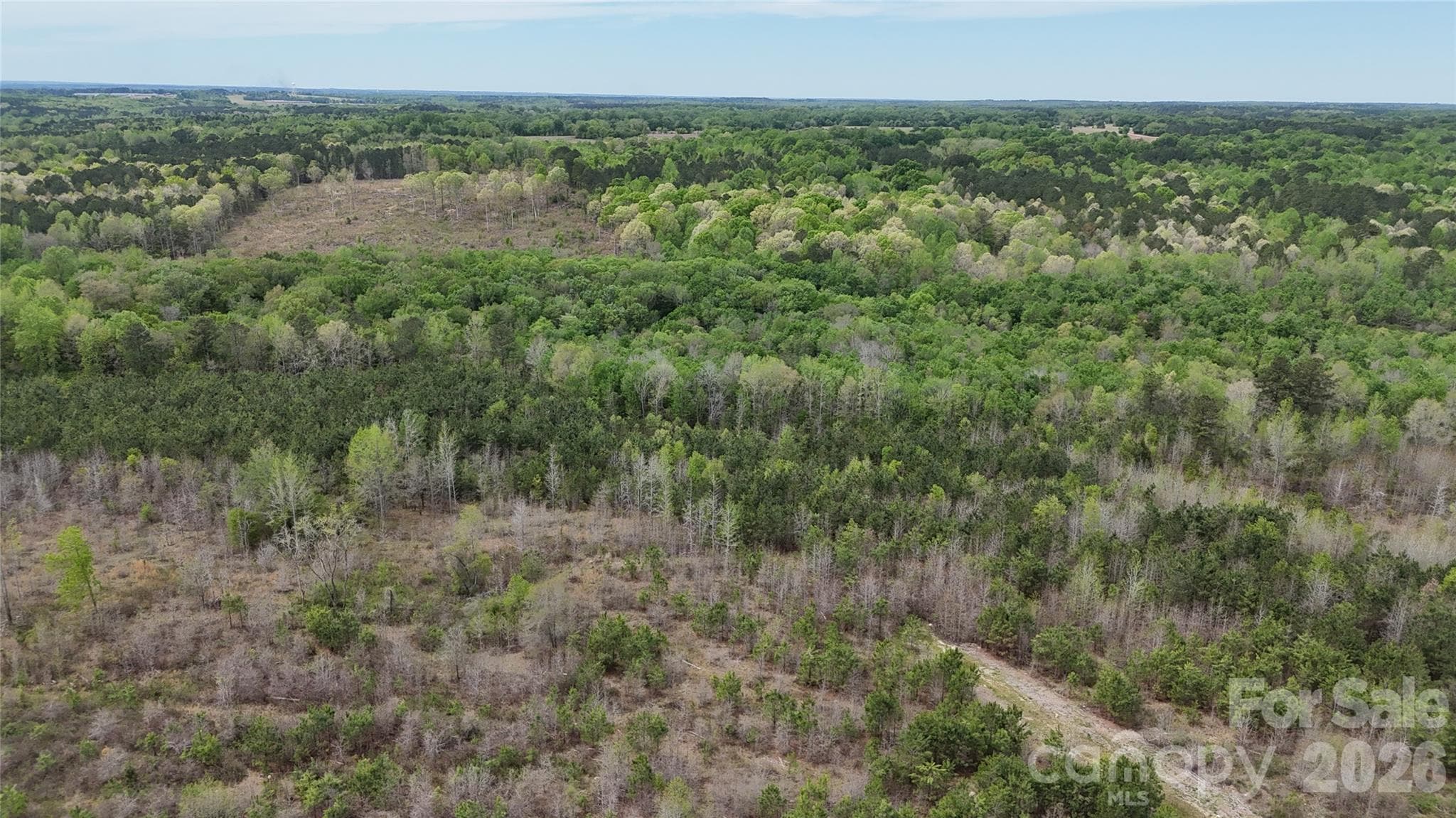 Acreage at 000 US Highway 52 Highway, Cheraw, photo 28 of 43