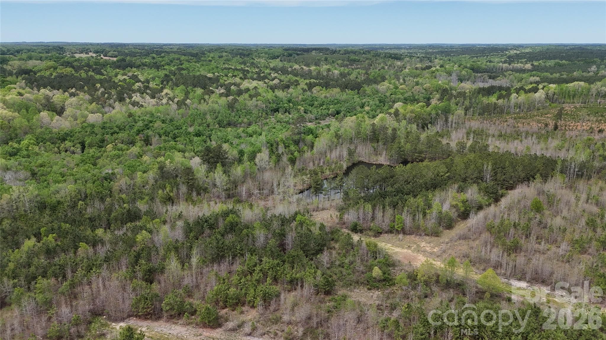 Acreage at 000 US Highway 52 Highway, Cheraw, photo 29 of 43