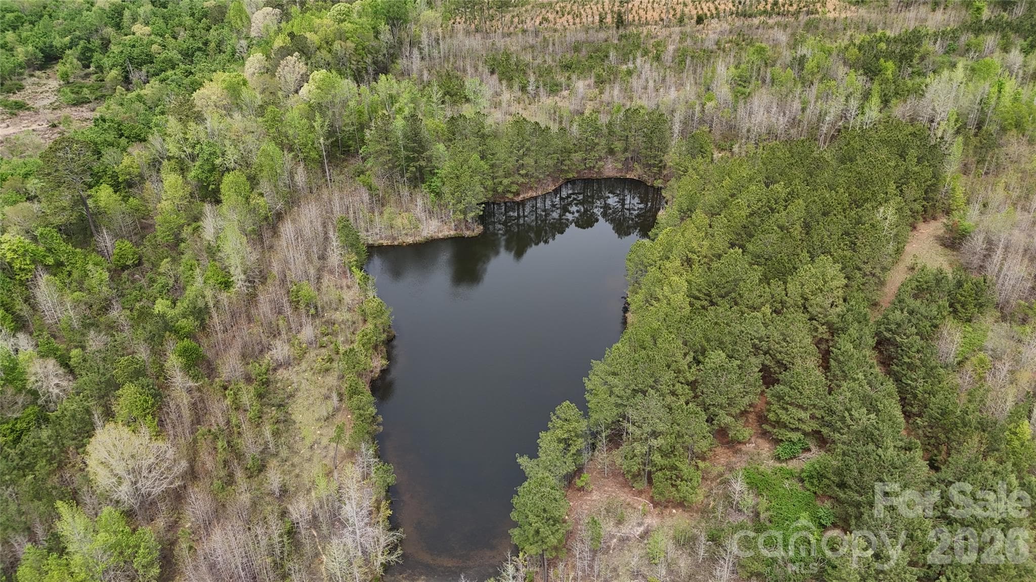 Acreage at 000 US Highway 52 Highway, Cheraw, photo 31 of 43