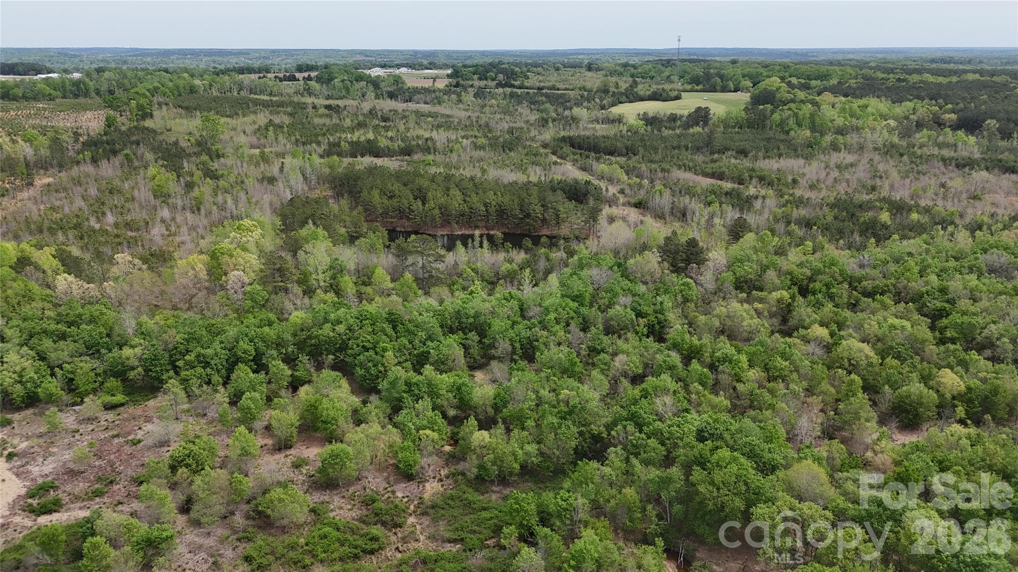 Acreage at 000 US Highway 52 Highway, Cheraw, photo 34 of 43