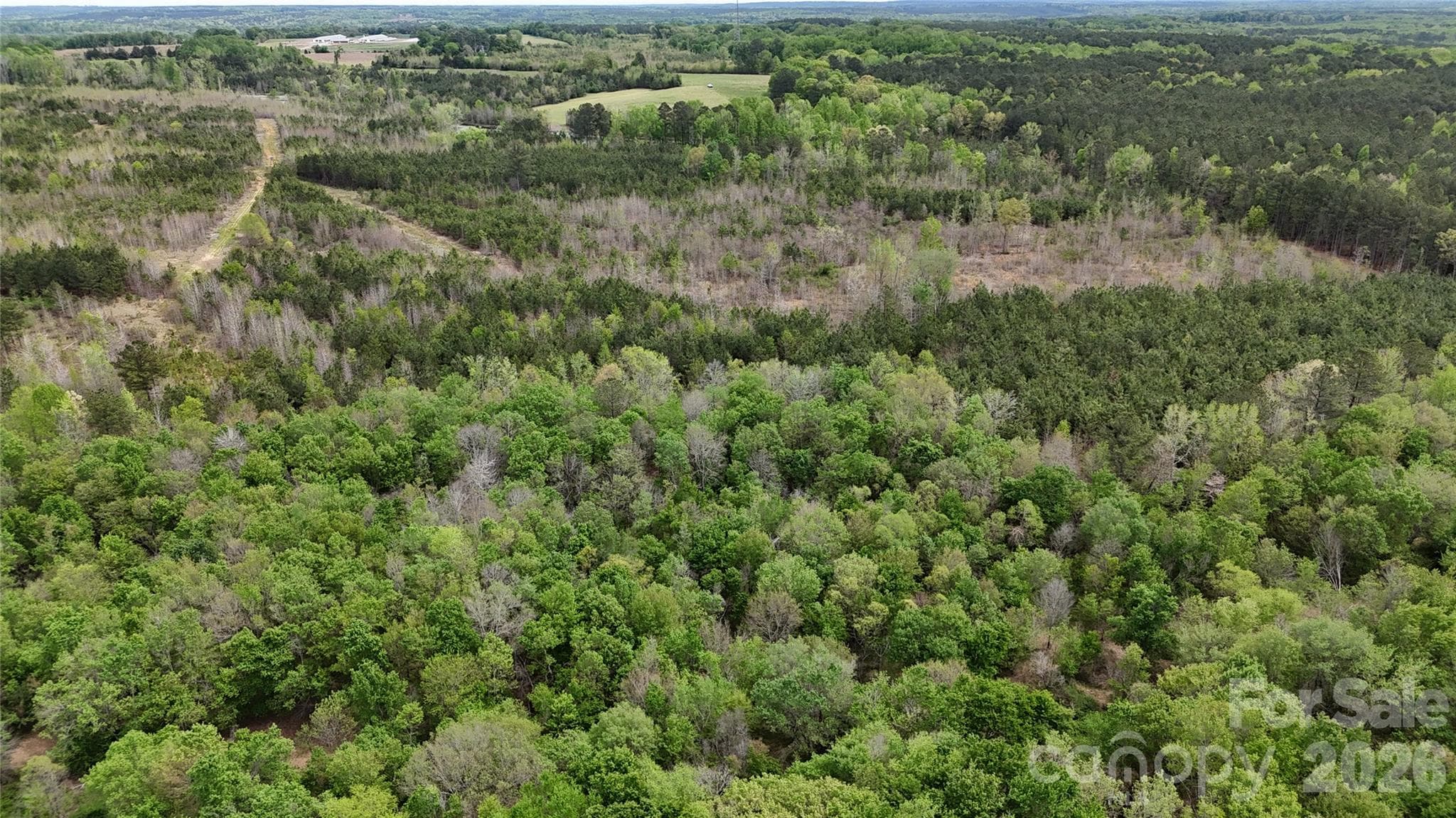 Acreage at 000 US Highway 52 Highway, Cheraw, photo 36 of 43