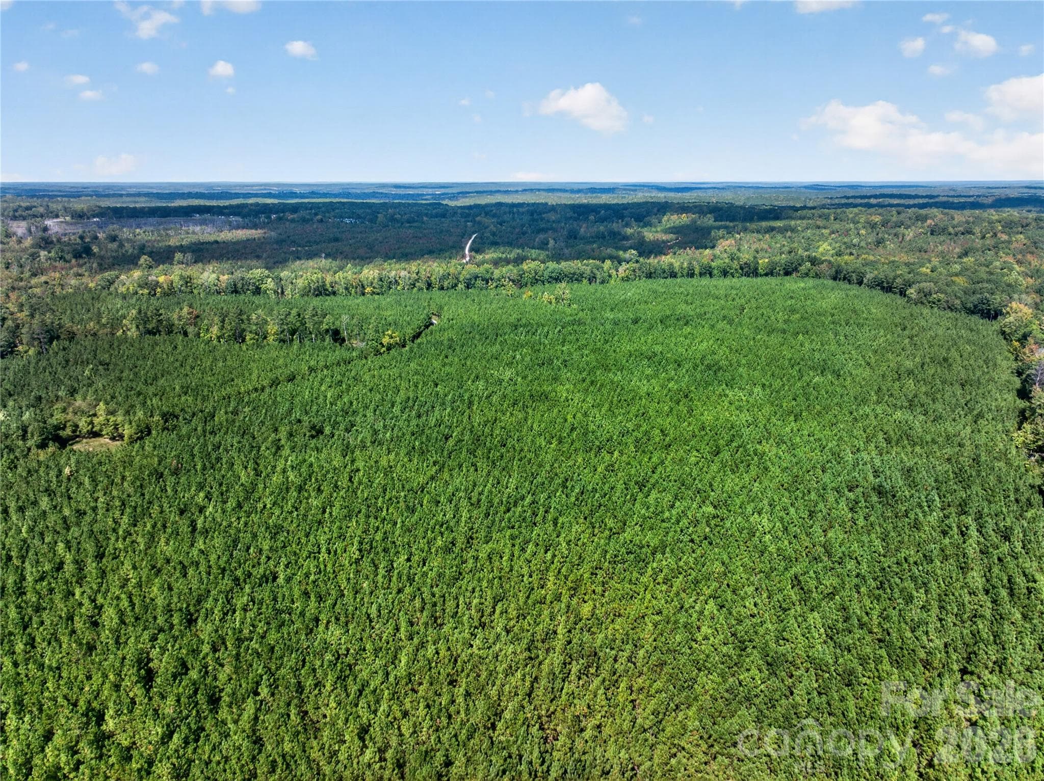 Acreage at 0000 Narrow Bridge Road, Chester, photo 2 of 37