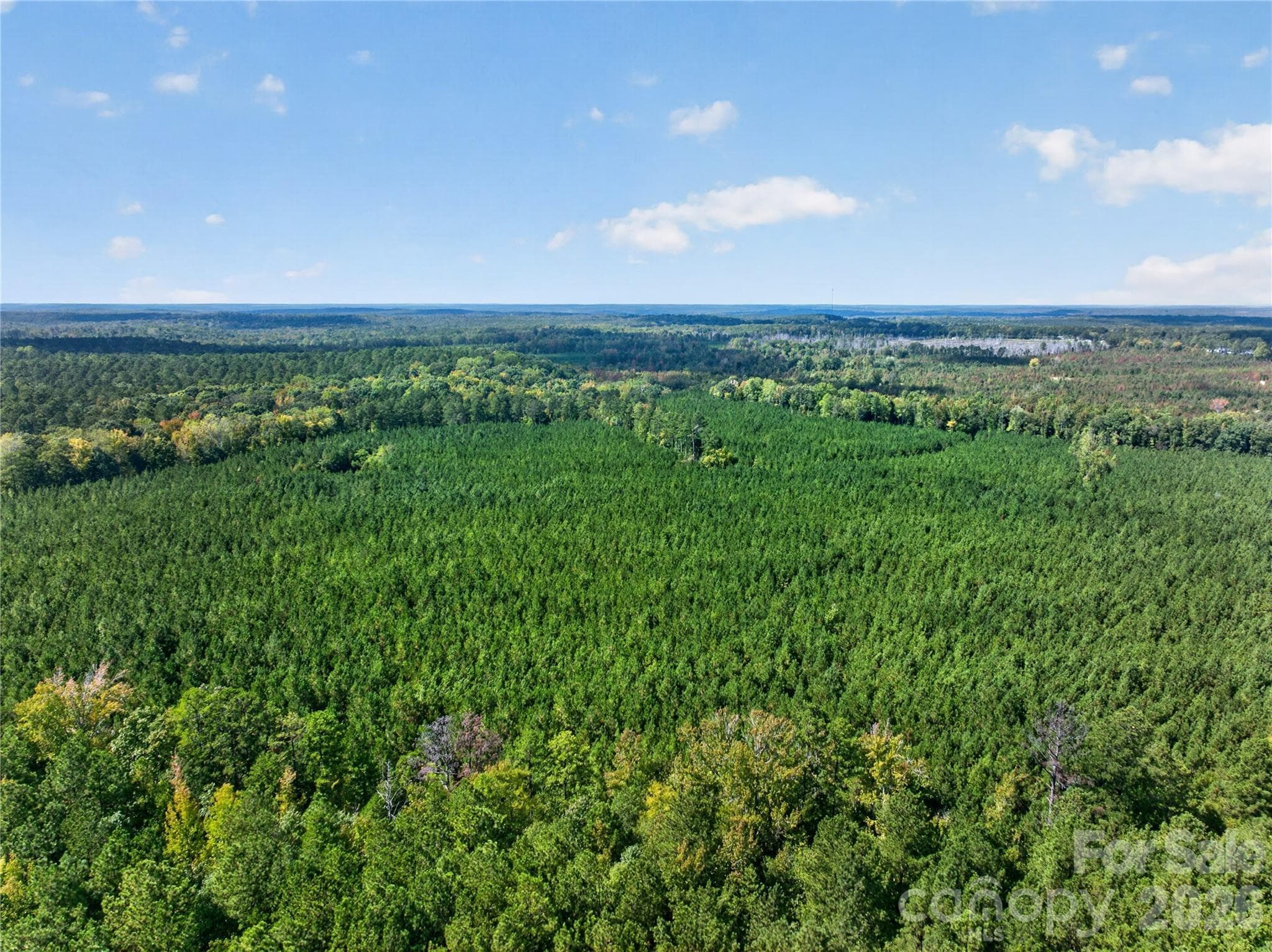 Acreage at 0000 Narrow Bridge Road, Chester, photo 3 of 37