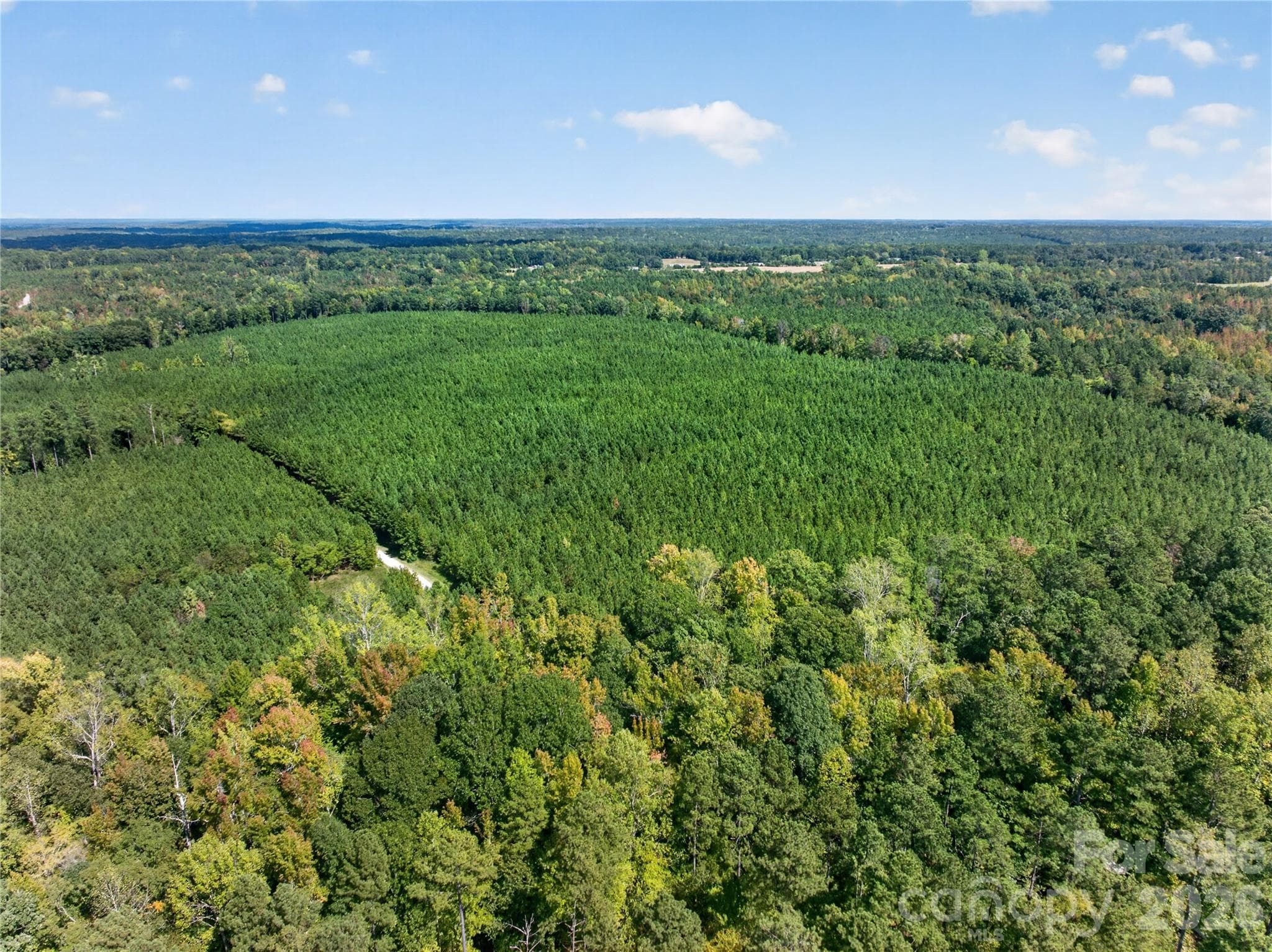 Acreage at 0000 Narrow Bridge Road, Chester, photo 5 of 37