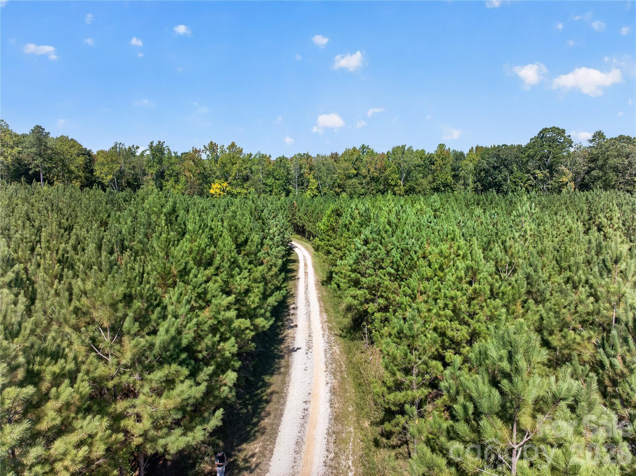 Acreage at 0000 Narrow Bridge Road, Chester, photo 7 of 37