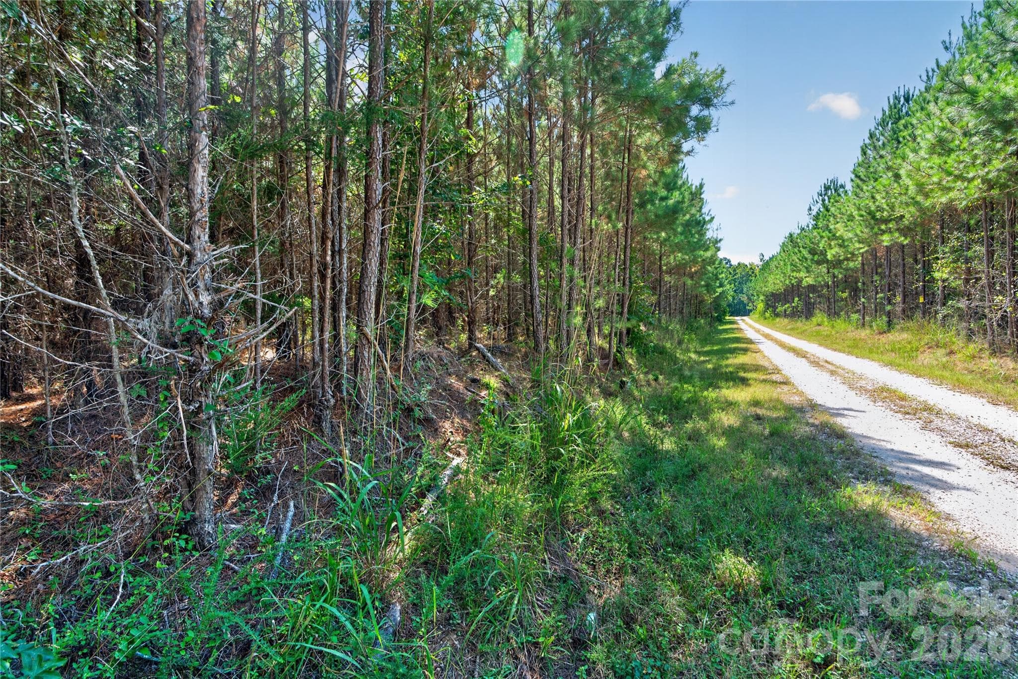 Acreage at 0000 Narrow Bridge Road, Chester, photo 9 of 37